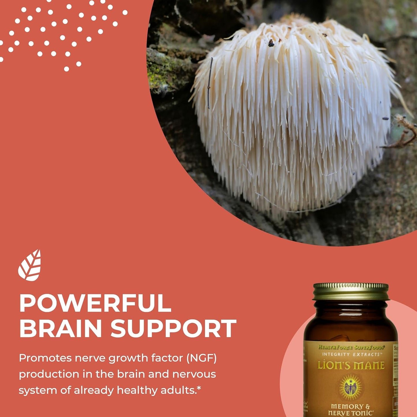 HealthForce SuperFoods Integrity Extracts Lion's Mane Capsules - 90 Count Vegan Capsules for Cognitive Support