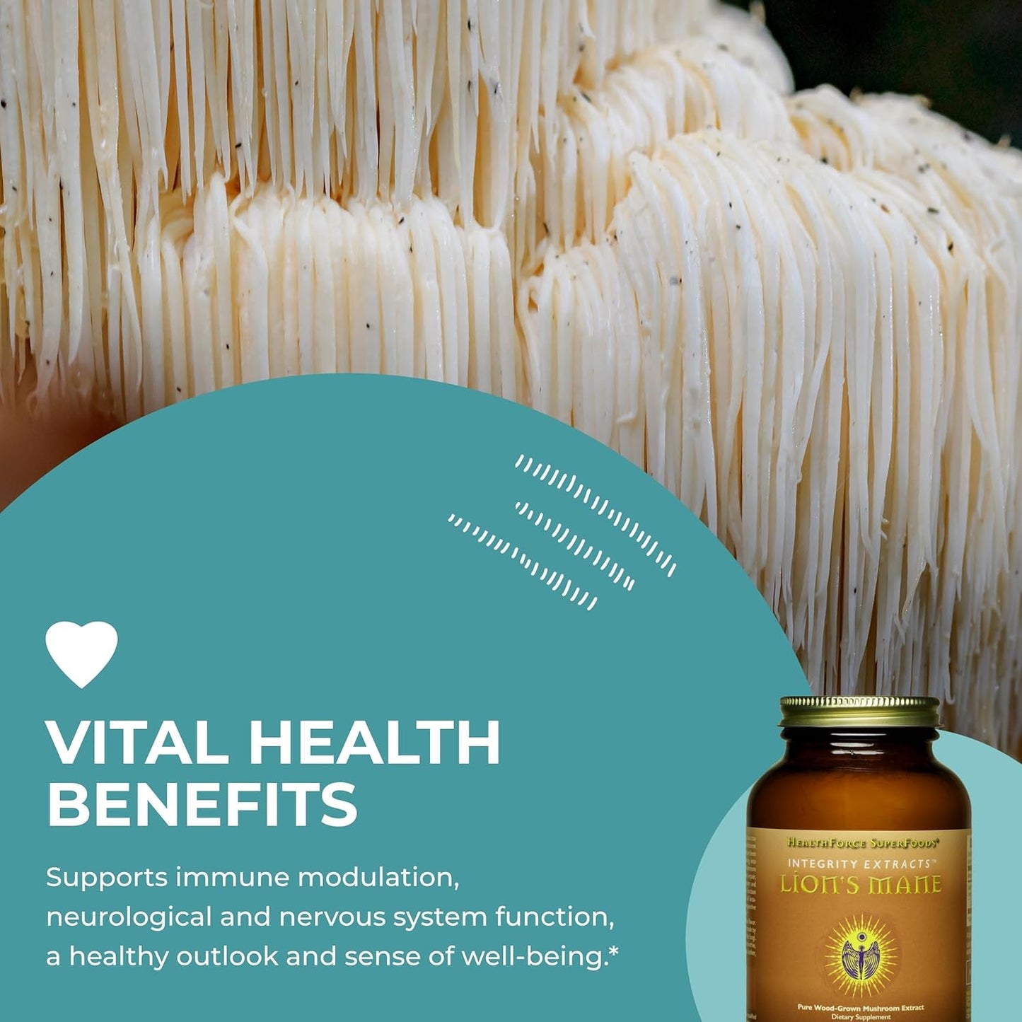 HealthForce SuperFoods Integrity Extracts Lion's Mane Capsules - 90 Count Vegan Capsules for Cognitive Support