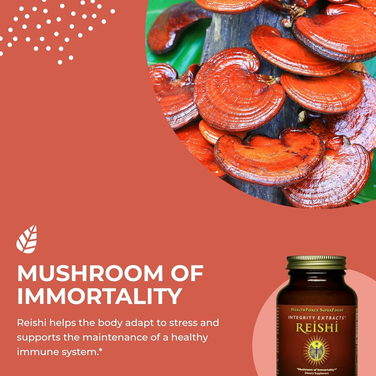 HealthForce SuperFoods Integrity Extracts Reishi Powder - 65g - Organic Mushroom Supplement