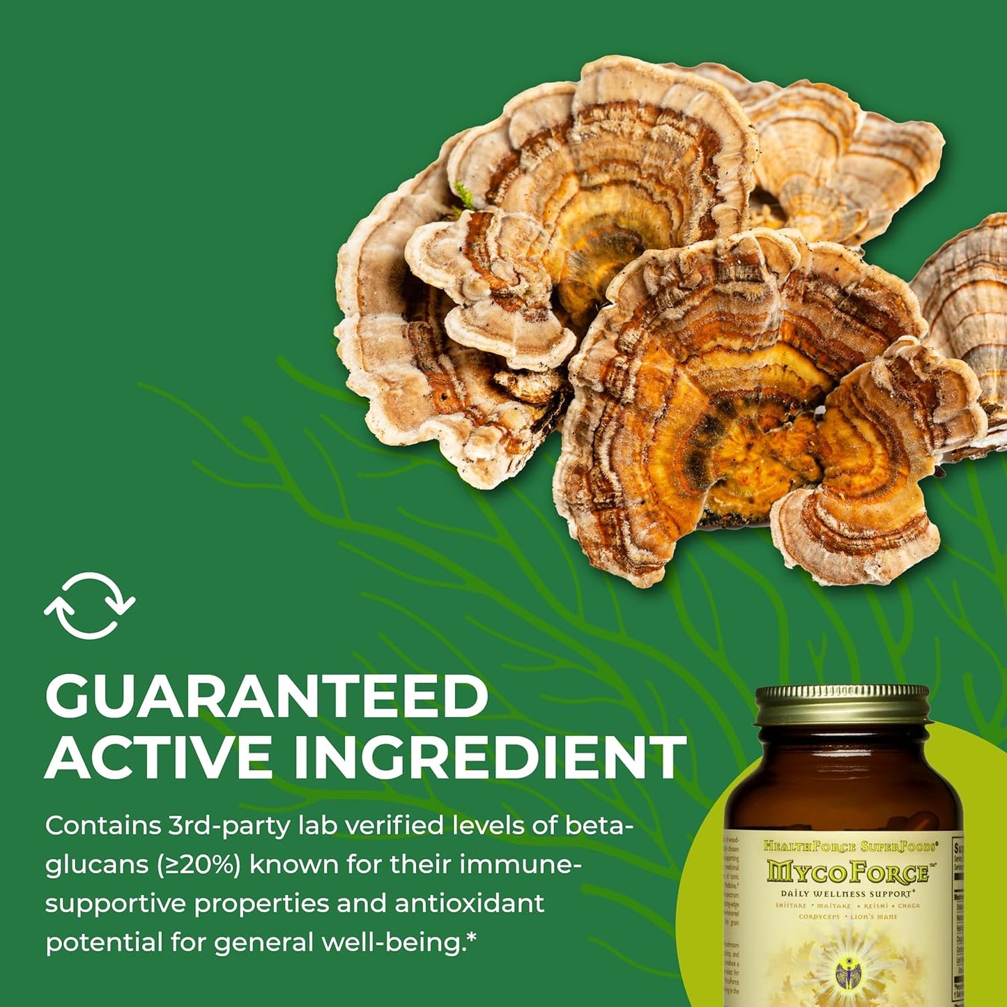 HealthForce SuperFoods MycoForce Capsules - 120 Count - Vegan Formula