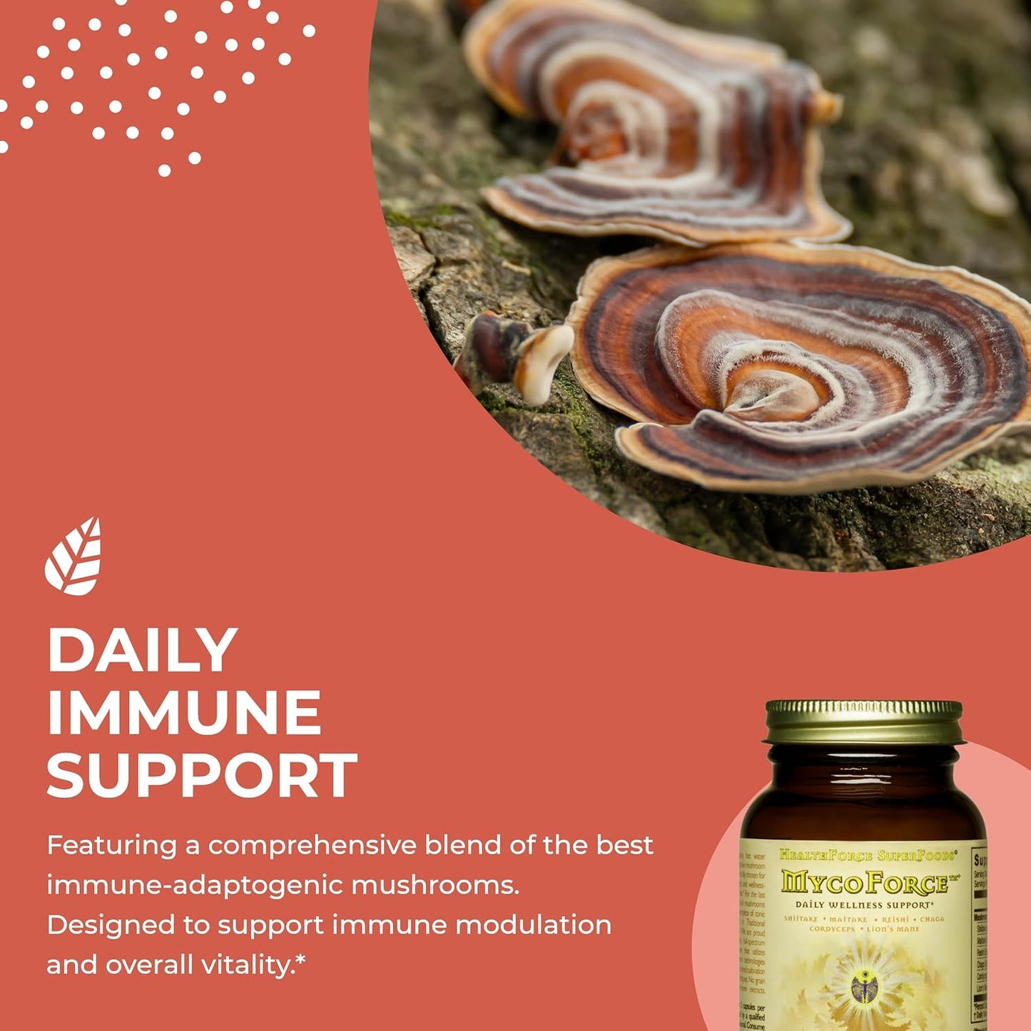 HealthForce SuperFoods MycoForce Capsules - 60 Vegan Capsules for Immune Support and Vitality