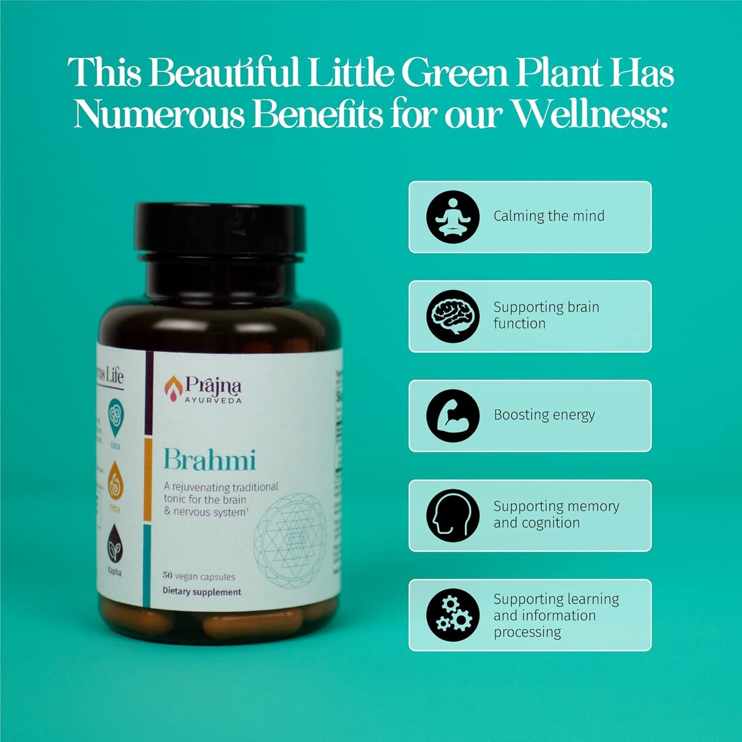 Healthy Directions Dr. Chaudhary’s Prajna Ayurveda Brahmi Formula with Synapsa for Memory - 500 mg Vegan, Gluten & Soy-Free