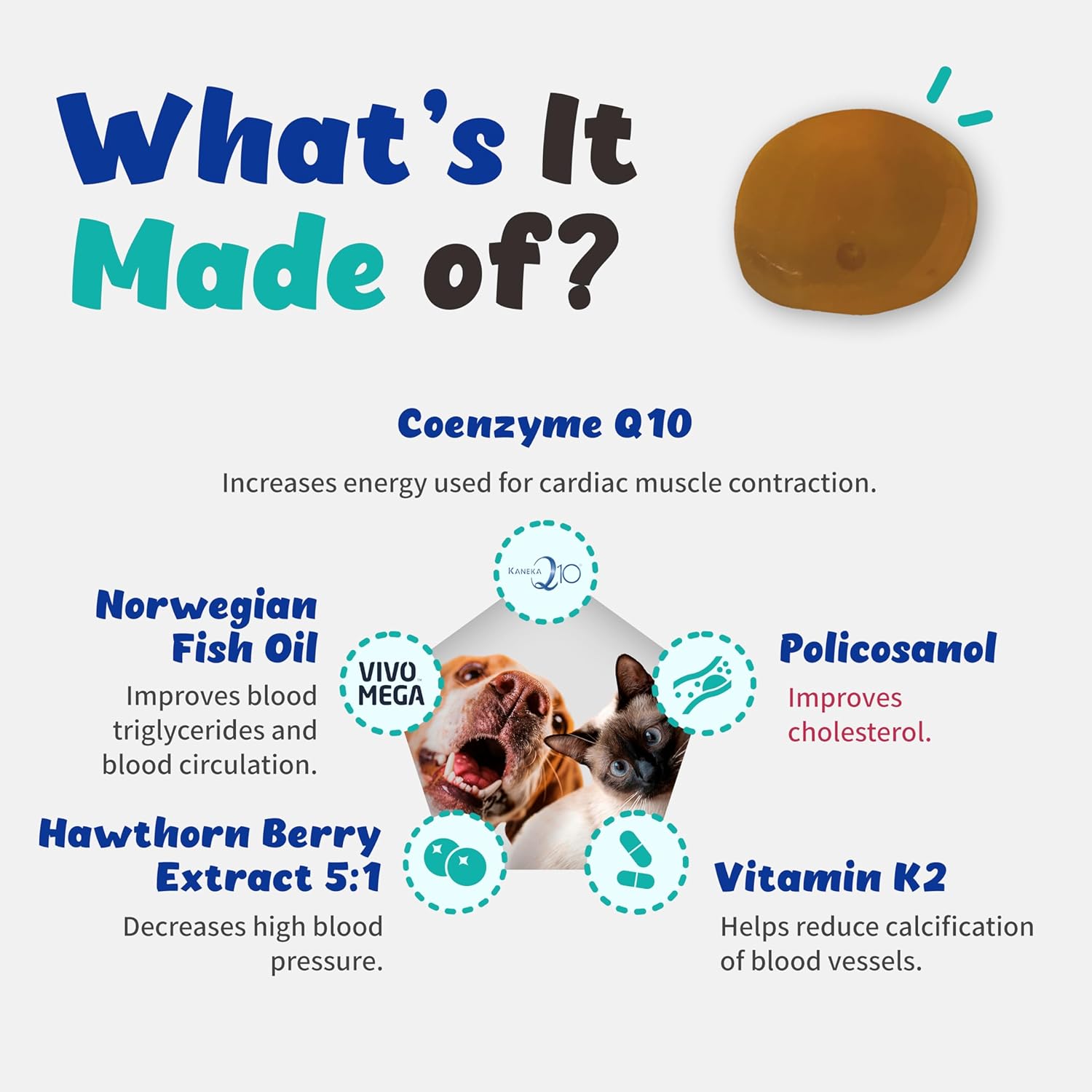 Heart Health Liquid Supplement for Dogs and Cats - Norwegian Fish Oil, Coenzyme Q10, Vitamin K2, Policosanol, Hawthorn Berry Extract - Vegan Bacon Flavor - 60ml