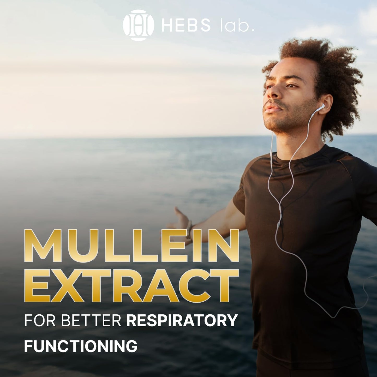 HEBS LAB Multivitamin Fruits and Vegetables Bundle with Mullein Leaf Extract - Immune Booster and Lung Support Supplement