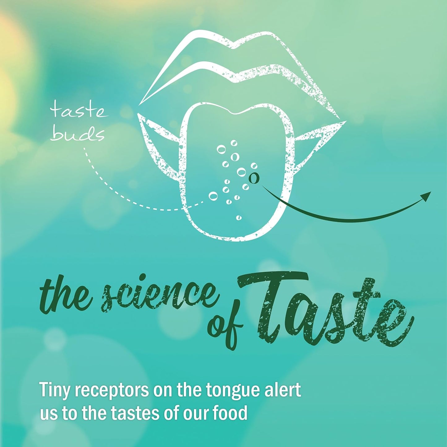 Herb Pharm Better Bitters Orange Digestive Bitters - 2 Pack, 1 Ounce Each - Certified Organic