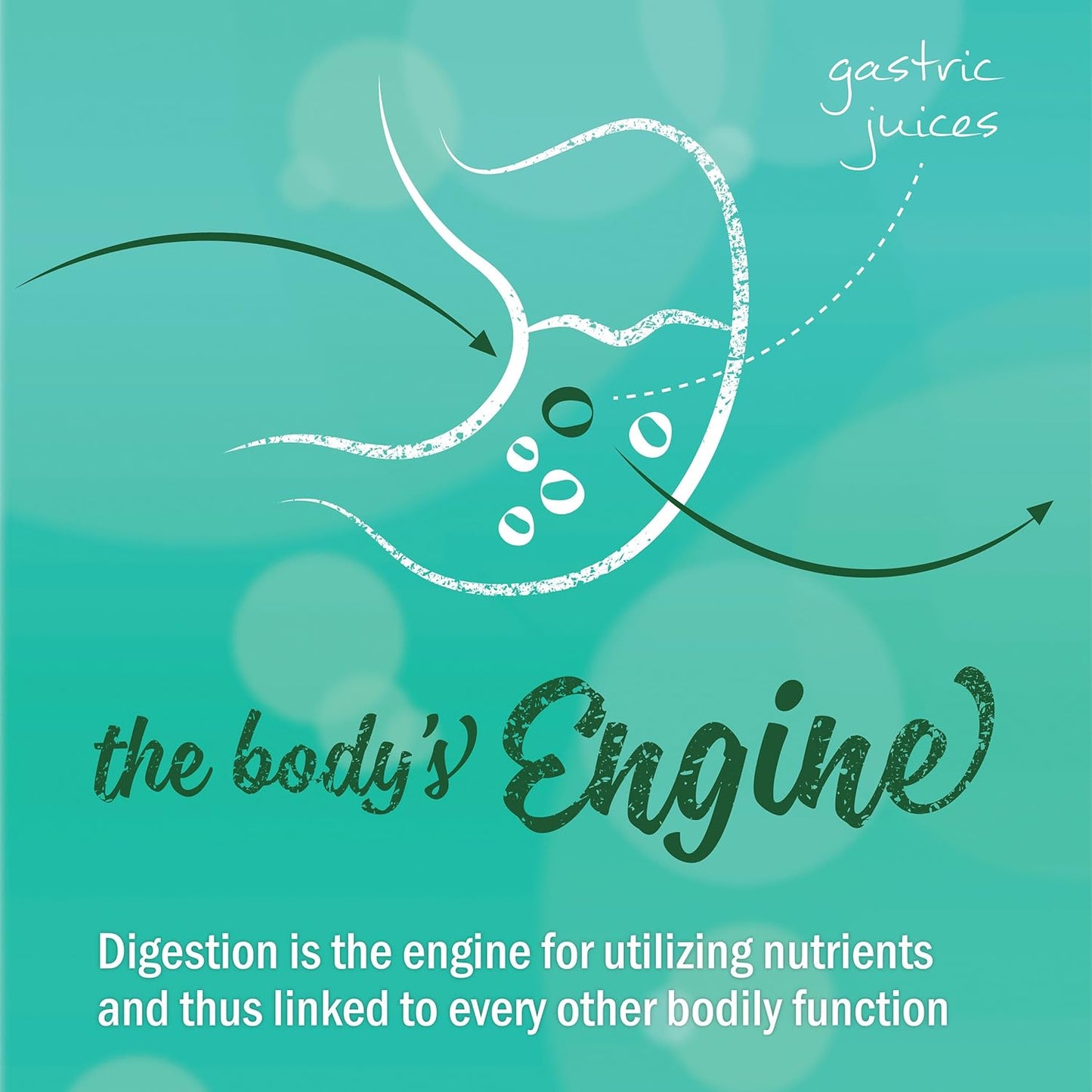 Herb Pharm Better Bitters Orange Digestive Bitters - 2 Pack, 1 Ounce Each - Certified Organic