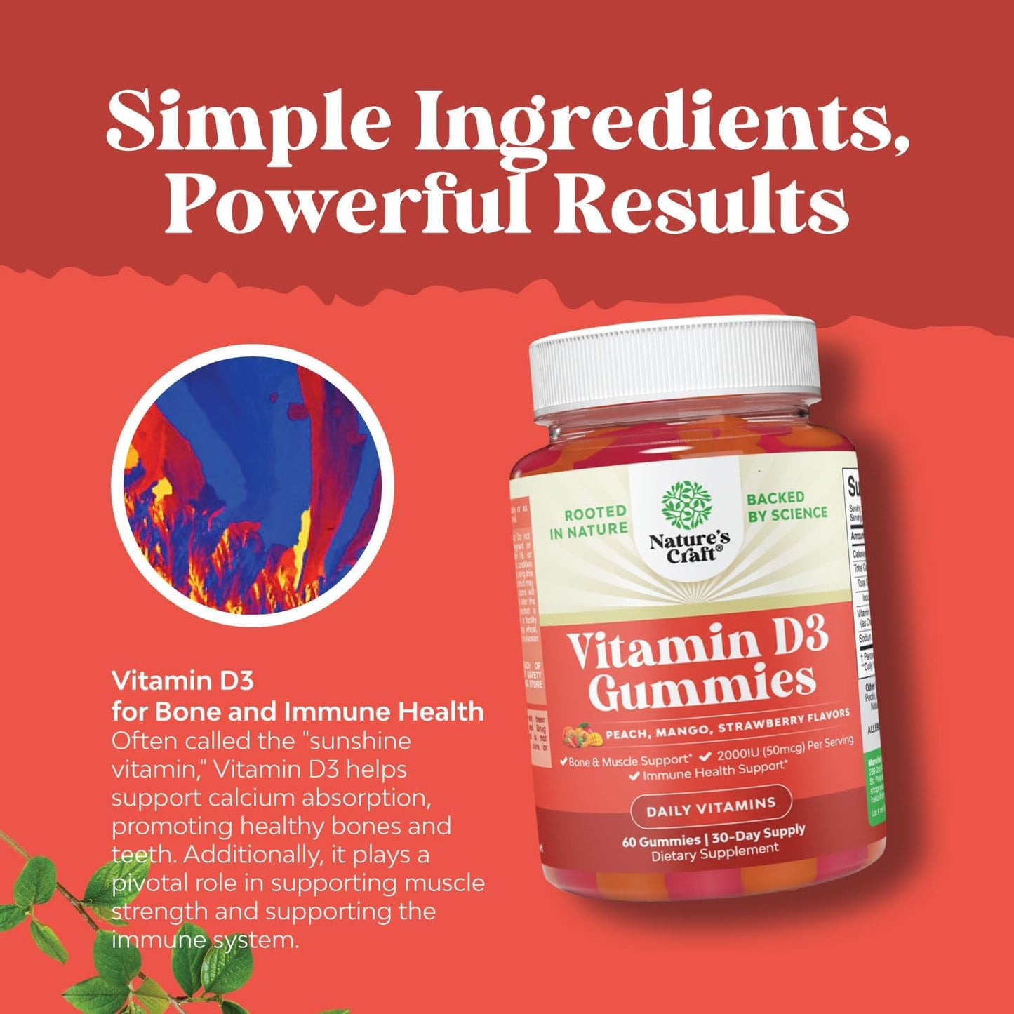 Herbal Adrenal & Thyroid Support Complex + Vitamin D3 Gummies - Mood & Energy Supplement for Thyroid Health, Bone & Immune Support