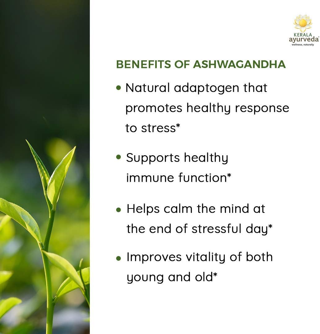 Herbal Ayurvedic Ashwagandha Capsules for Immunity, Stress Relief, Sleep - 60 Count