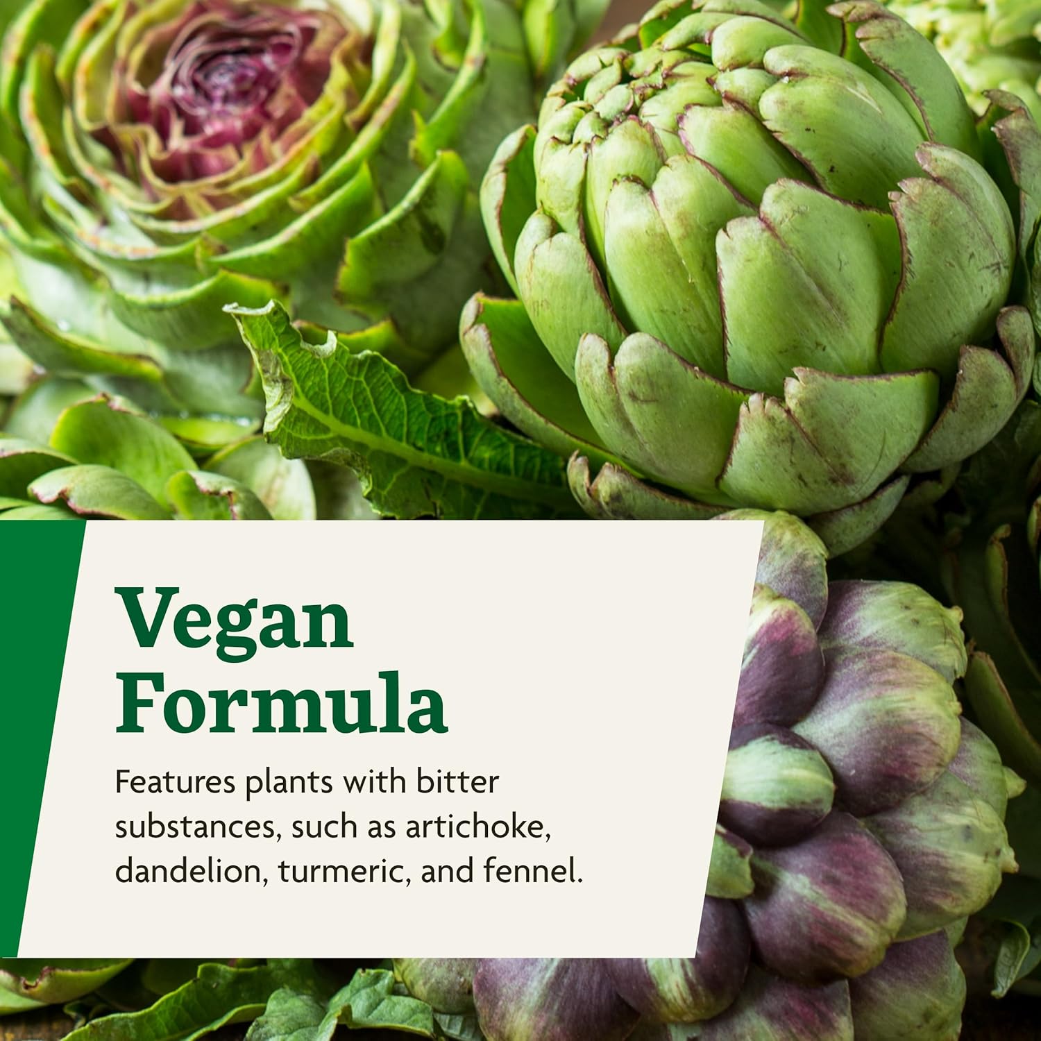 Herbal Bitters Digestive Support Supplement with Artichoke, Dandelion, Turmeric, Ginger - Liquid Formula - Easily Absorbed - Vegan, Non-GMO - 8.5 fl oz