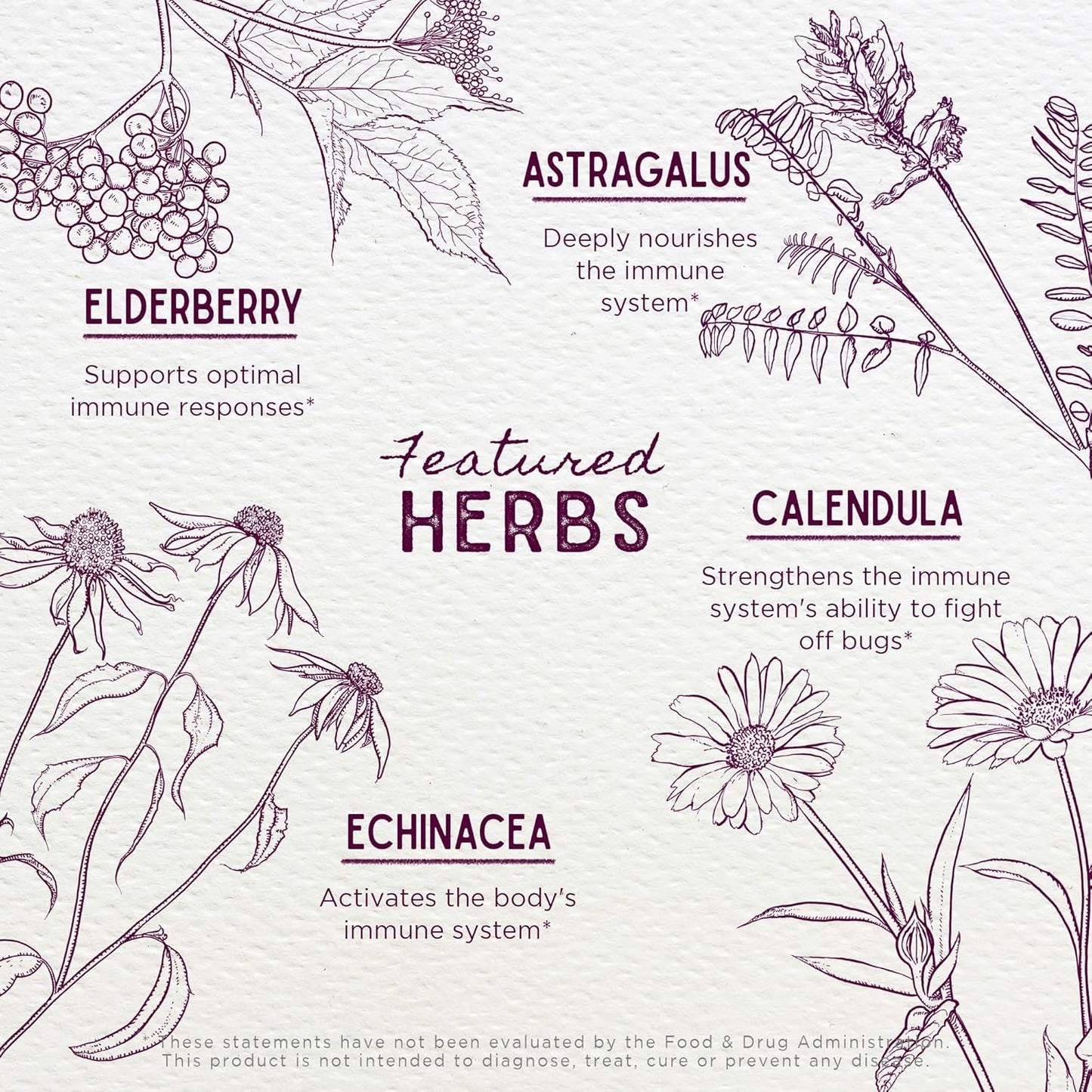 Herbal Immune Defense for Kids - Immune System Booster with Black Elderberry & Echinacea for Daily Support, Kids Supplement