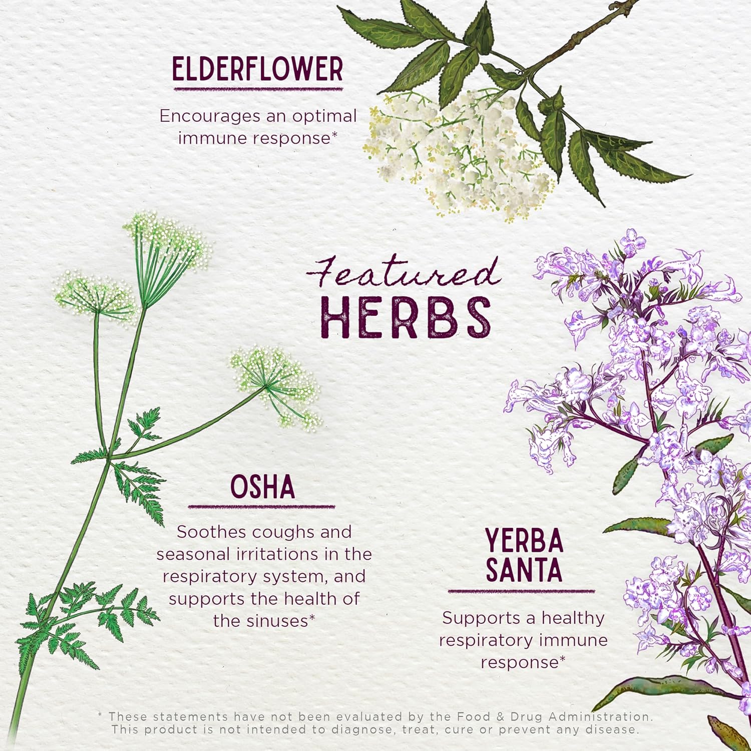 Herbal Immune Support Supplement for Kids - WishGarden Herbs Kick-It Immune Formula with Echinacea, OSHA, Elder, 4oz