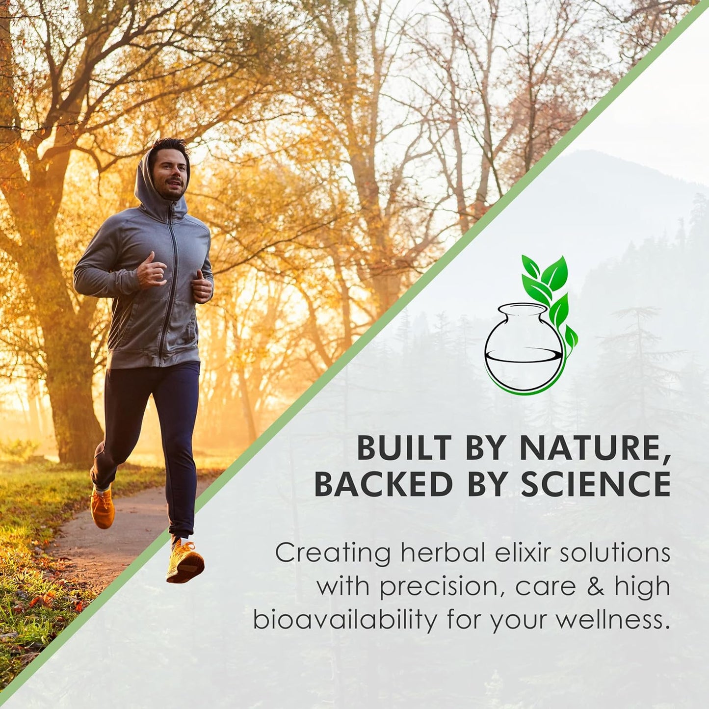 Herbal Immune Support Supplement with Zinc, Turmeric, Green Tea, and Cinnamon - 30ml Bottle