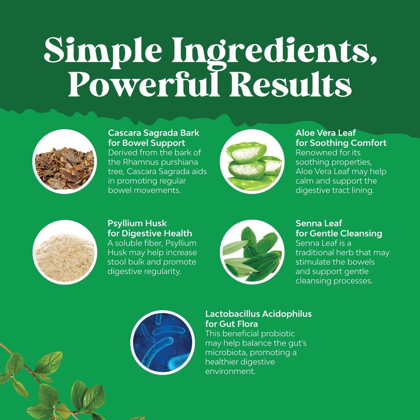 Herbal Laxative Capsules with Probiotics and Chlorophyll Drops - Natural Colon Detox Support System - Mint Flavored Digestive Aid