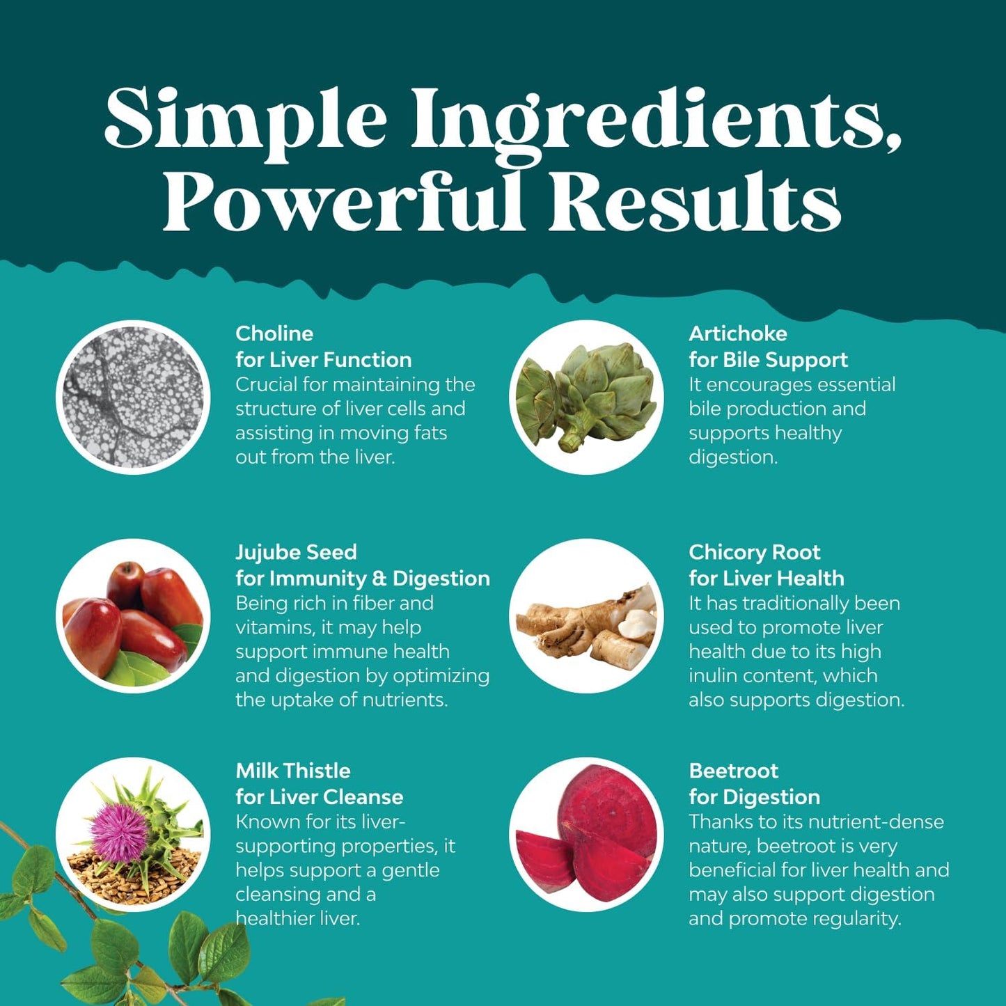 Herbal Liver Support and Turmeric Curcumin Gummies Bundle for Immune and Skin Care