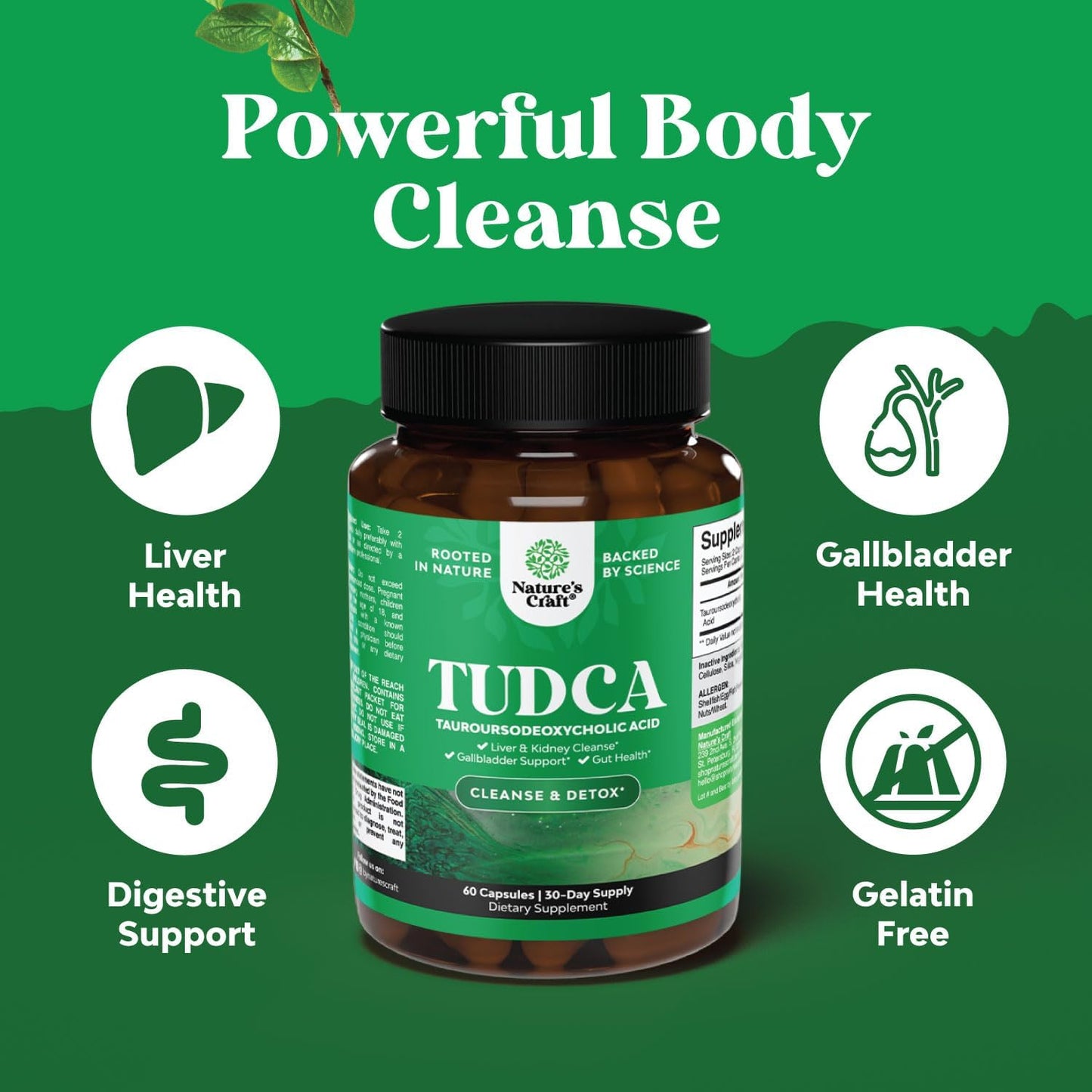 Herbal Liver Support Bundle: Liver Cleanse, Detox & Repair Formula with Advanced Bile Salt Supplement for Gallbladder, Kidney, and Liver Support by Natures Craft