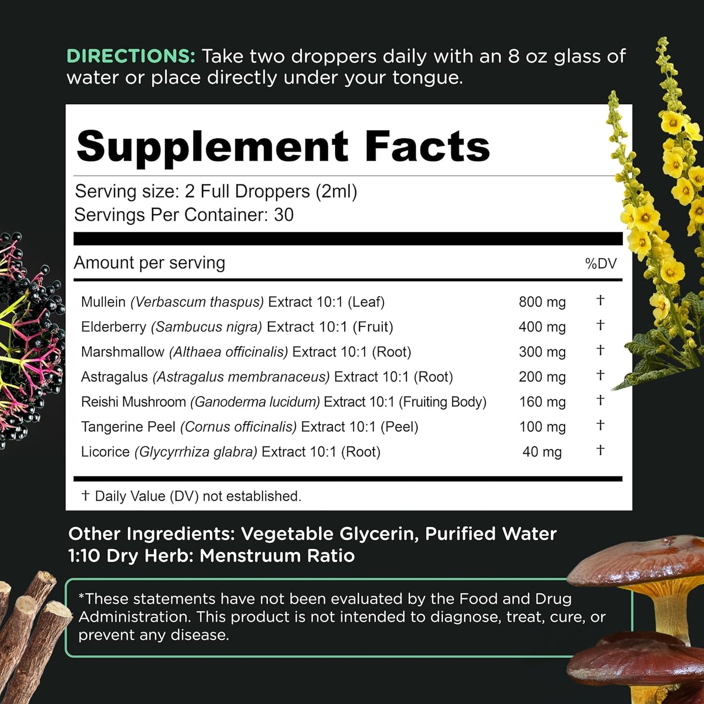 Herbal Lung Support Tincture with Mullein Leaf Extract for Clear Breathing & Wellness - 2 oz