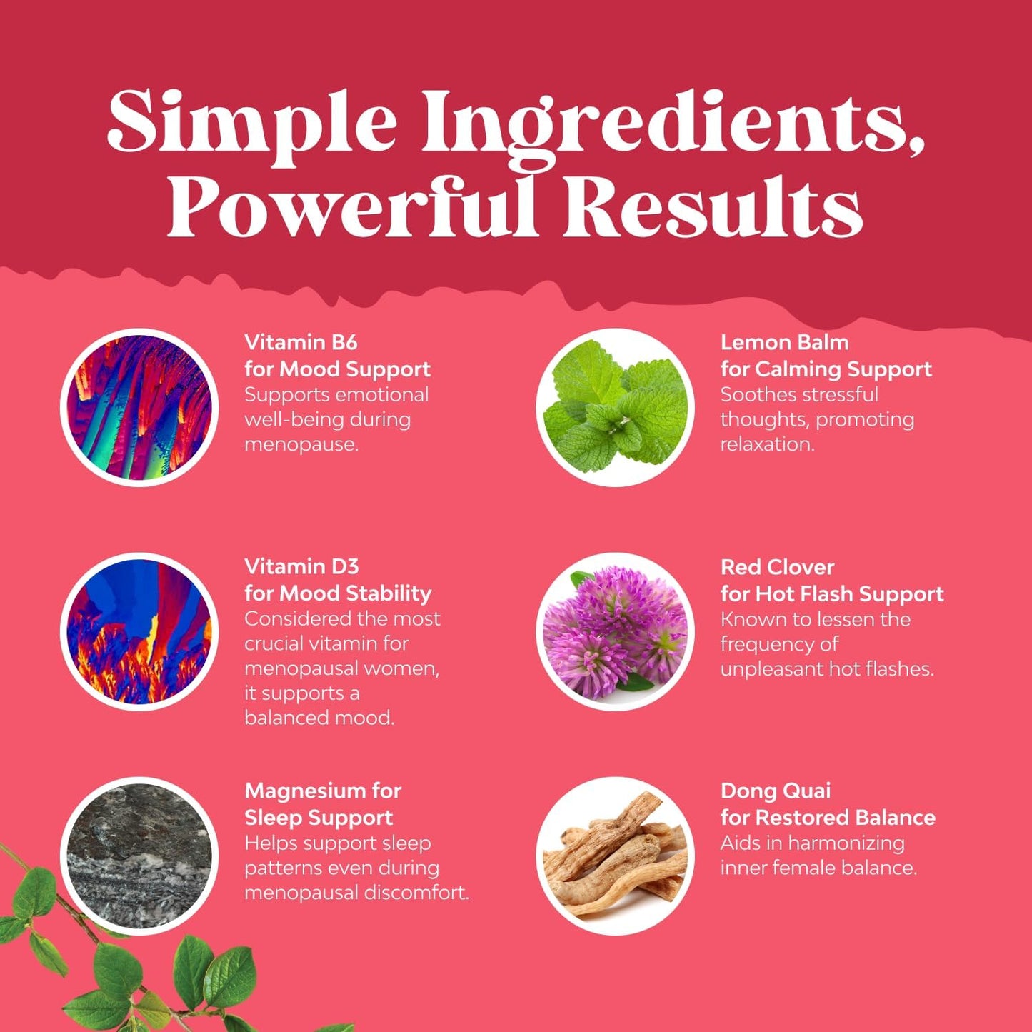 Herbal Menopause Supplement Bundle for Women: Night Sweats, Mood Support, Liver Health - Dong Quai, Vitex, Chaste Berry, Black Cohosh, NAC