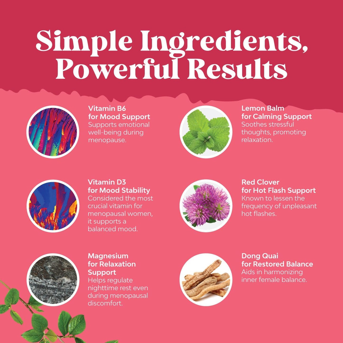 Herbal Menopause Supplement for Night Sweats & Mood with Dong Quai, Vitex, & Biotin - Stop Hair Loss & Support Women's Health