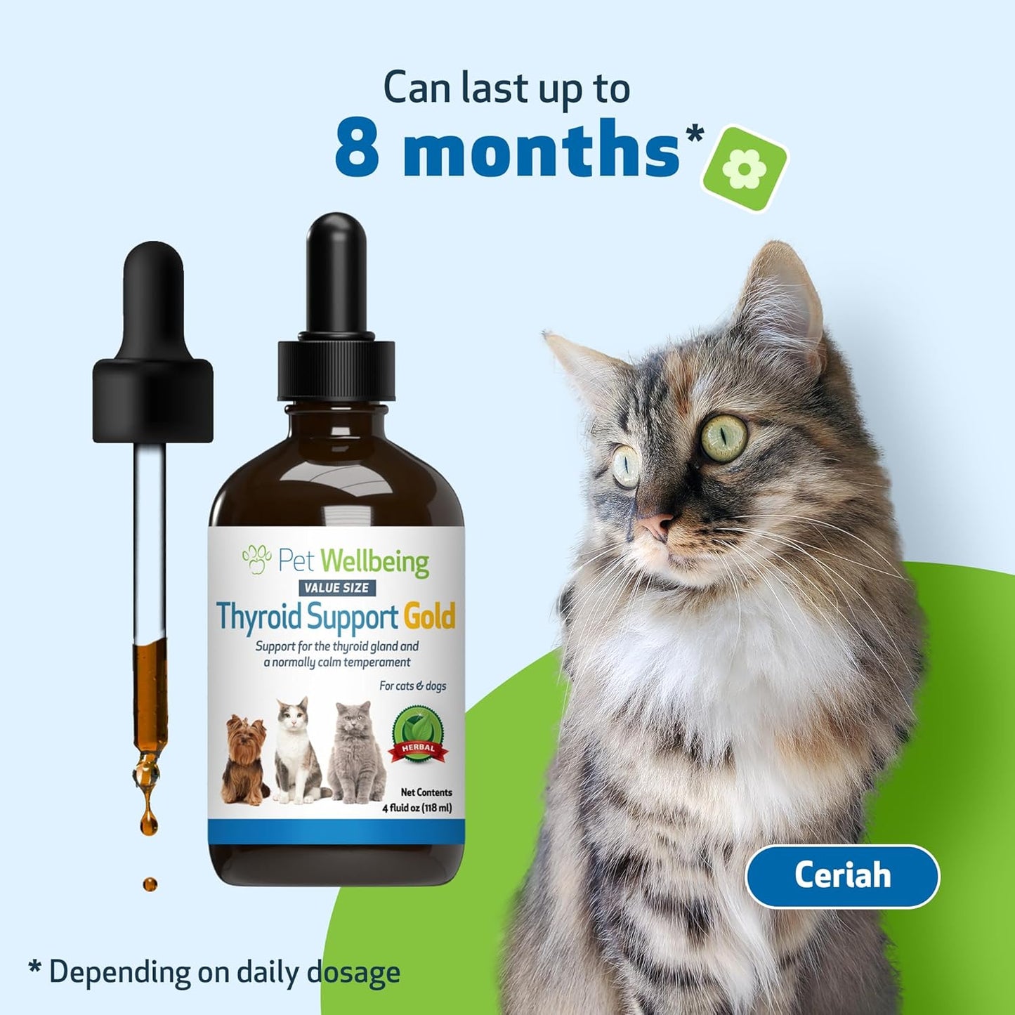 Herbal Thyroid Support Supplement for Cats - Promotes Healthy Thyroid Function, Metabolism, Bugleweed, Lemon Balm - Vet-Formulated - 4 fl oz