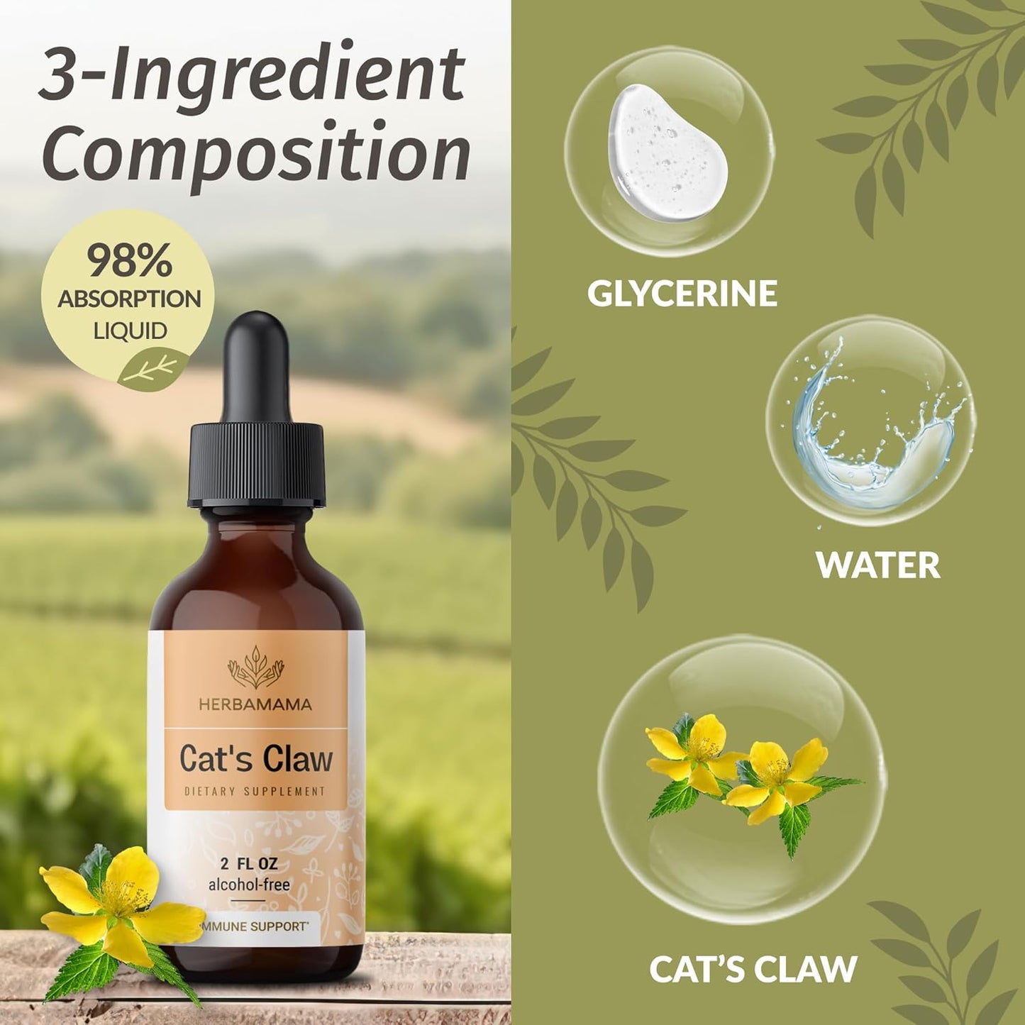 HERBAMAMA Beet Root and Cat's Claw Tincture Bundle - 2 fl oz Concentrate - Vegan, Non-GMO, Sugar & Alcohol-Free - 2 Pack