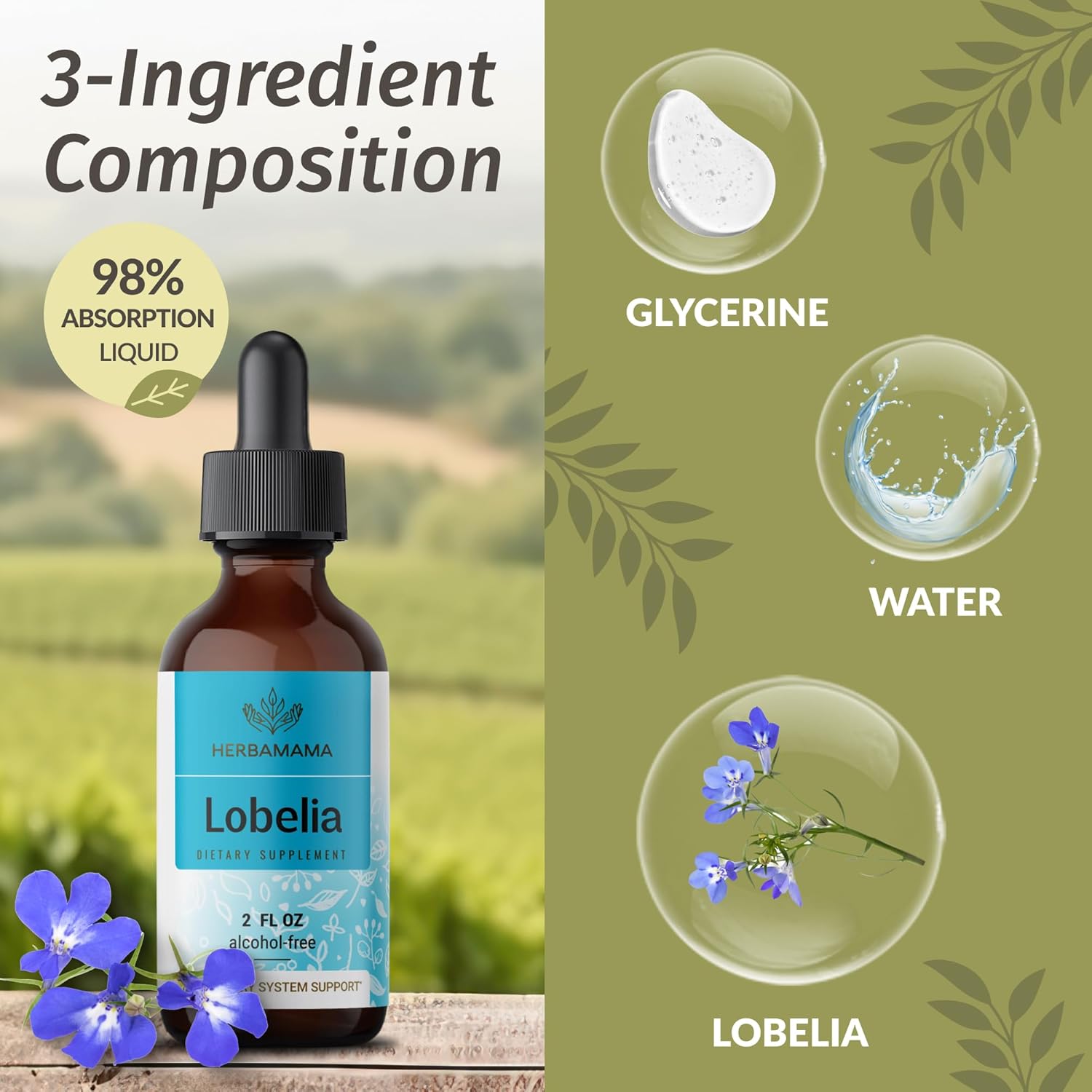 Herbamama Herbal Liquid Drops Bundle - Lobelia Extract & Lemon Balm Tincture - 2oz - Vegan, Non-GMO, Sugar & Alcohol-Free - 2 Pack