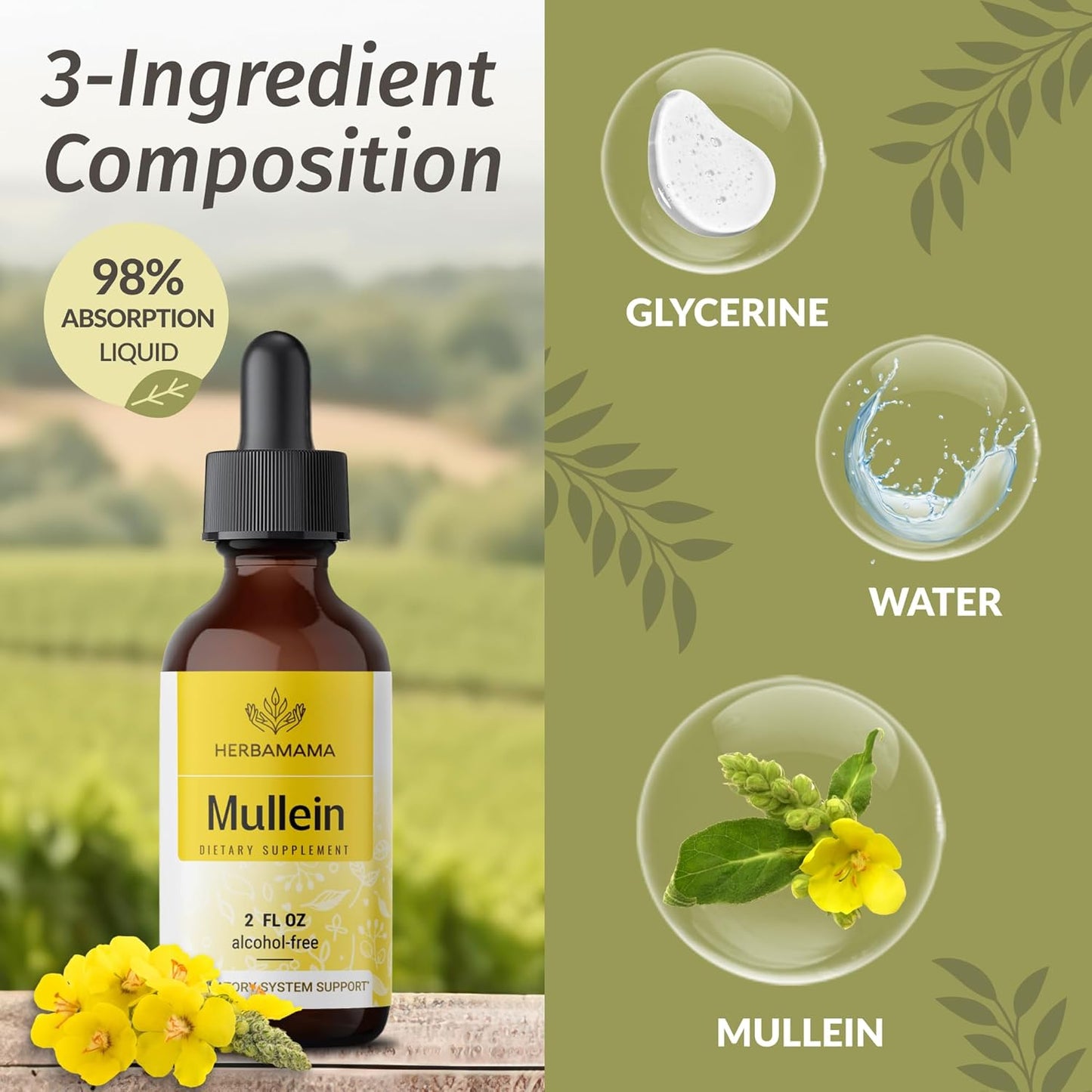 Herbamama Herbal Liquid Drops Kit - Lobelia Extract and Mullein Leaf Tincture Bundle - 2 fl oz x 2 - Vegan, Non-GMO, Sugar & Alcohol-Free
