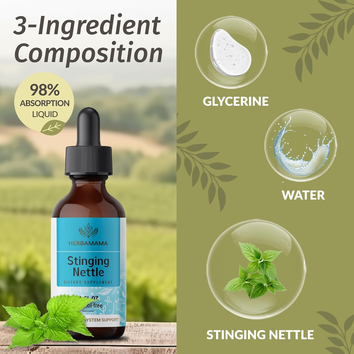HERBAMAMA Herbal Liquid Drops Kit - Lomatium Root Extract and Stinging Nettle Tincture Bundle - 2 fl oz x 2 - Vegan, Non-GMO, Sugar & Alcohol-Free