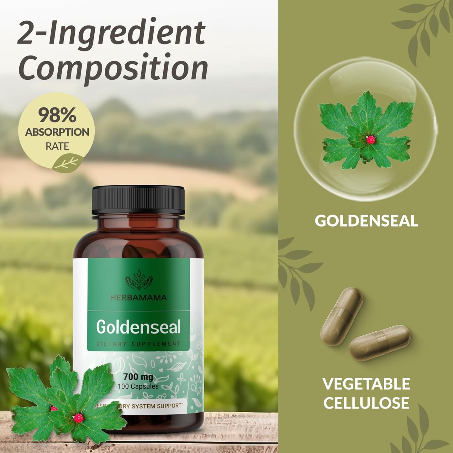 HERBAMAMA Turmeric Ginger and Goldenseal Bundle - Tincture and Capsules - Vegan, Non GMO, Sugar & Alcohol-Free - 2 Pack