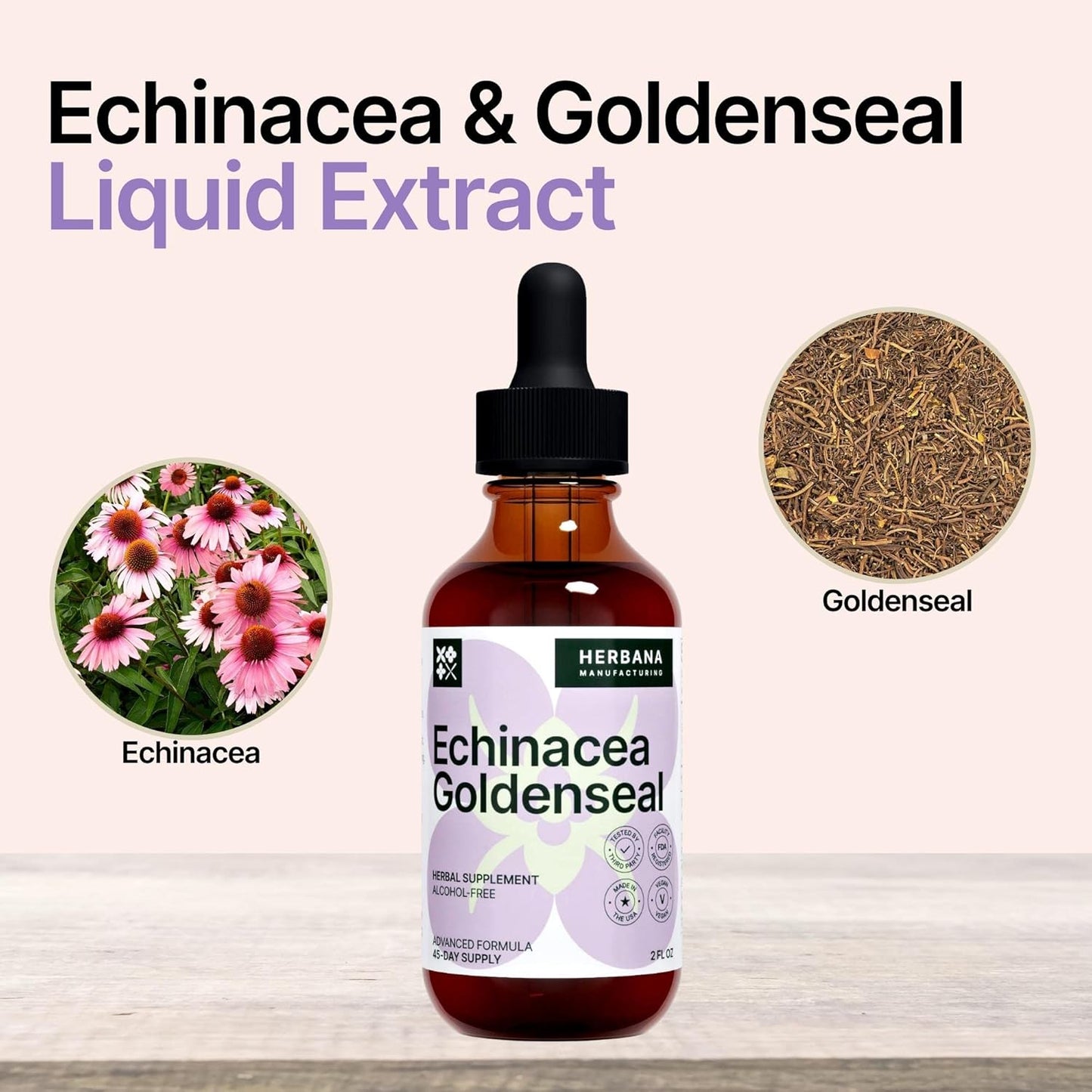 Herbana Manufacturing Echinacea and Goldenseal Liquid Extract - Herbal Supplement for Immune Support, Sleep, and Energy Boost - High Potency Formula - 45-Day Supply