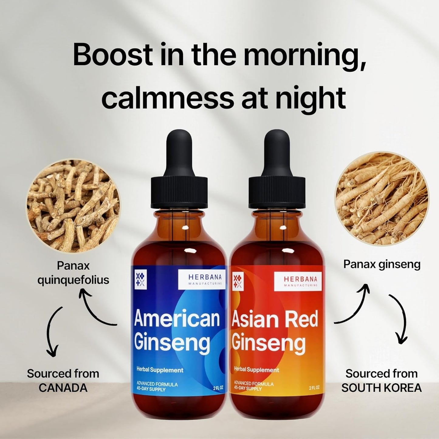Herbana Manufacturing Ginseng Liquid Extract Duo for Energy, Focus, and Immune Support - Panax Ginseng Tincture Pack