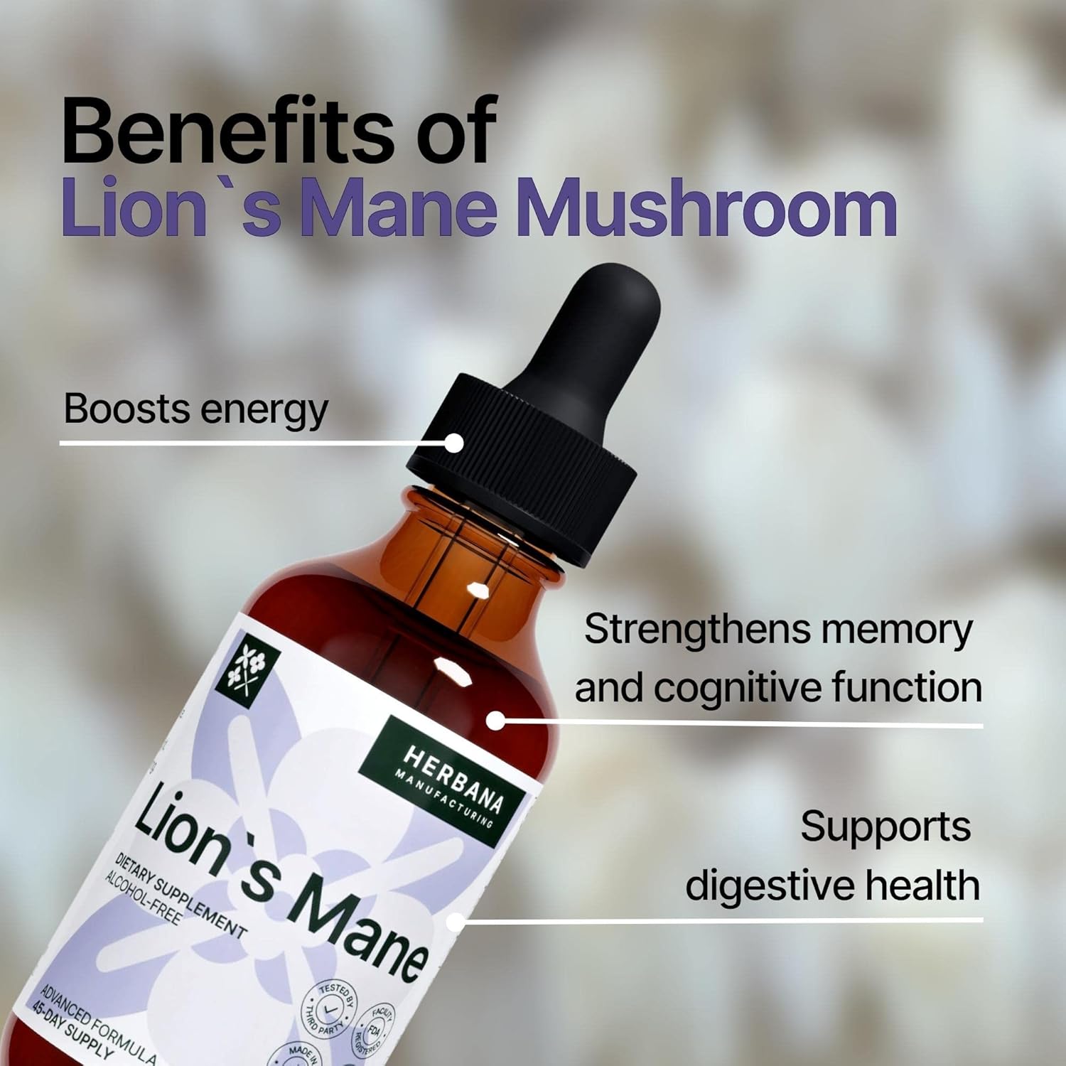 Herbana Manufacturing Lion's Mane Liquid Extract - Natural Mushroom Tincture for Brain Health - Immune Support & Mental Clarity - High Potency Formula - 45-Day Supply