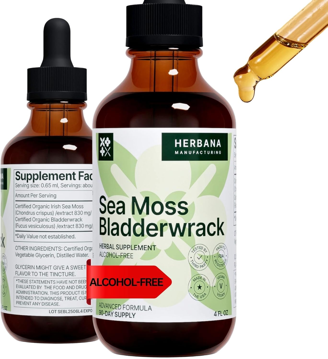Herbana Manufacturing Sea Moss & Bladderwrack Liquid Extract - Superfood Immunity Booster - Thyroid & Digestion Support - High Potency 4 fl oz Formula