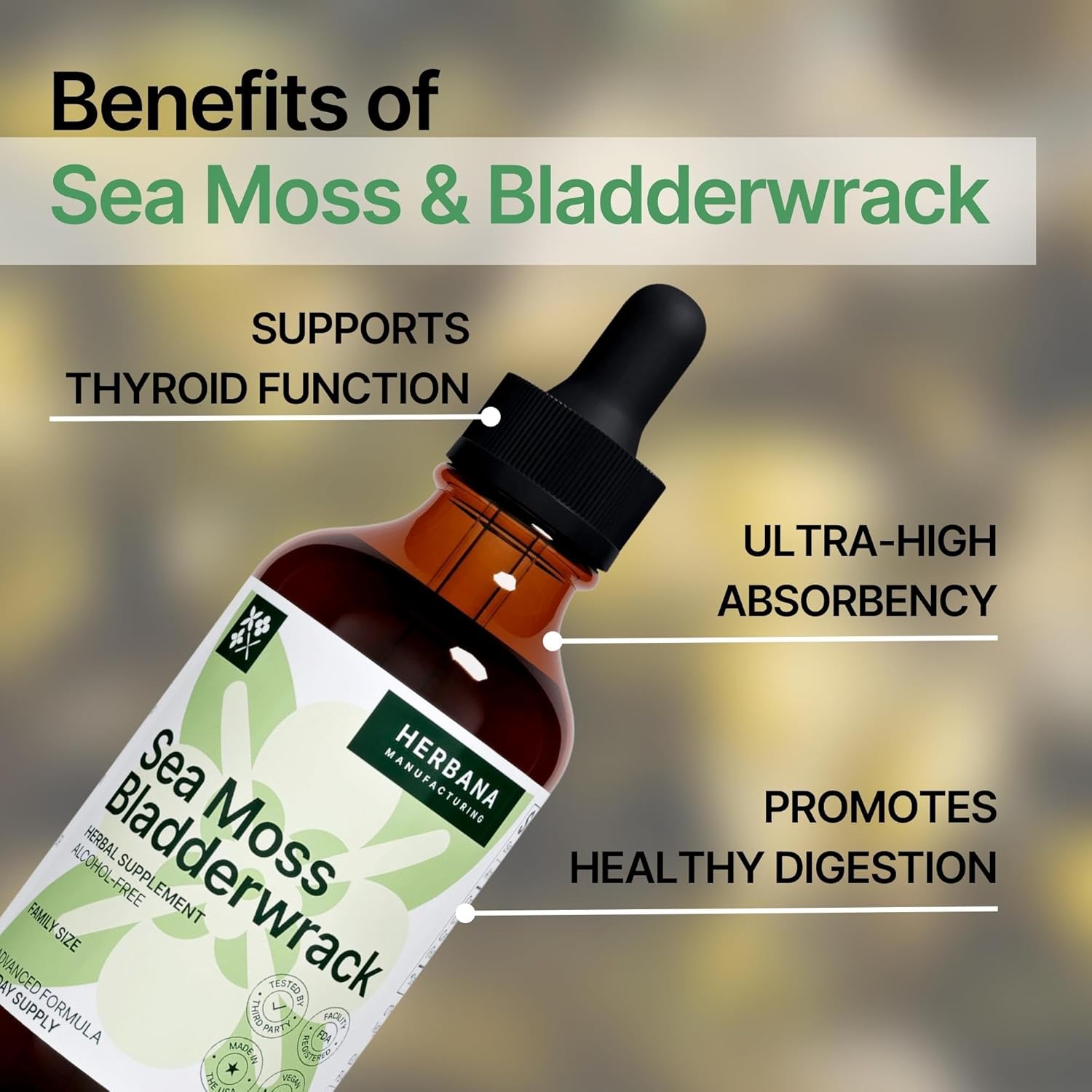 Herbana Manufacturing Sea Moss & Bladderwrack Liquid Extract - Superfood Immunity Booster - Thyroid & Digestion Support - High Potency 4 fl oz Formula