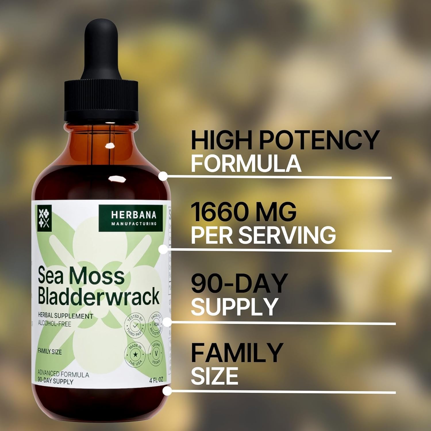 Herbana Manufacturing Sea Moss & Bladderwrack Liquid Extract - Superfood Immunity Booster - Thyroid & Digestion Support - High Potency 4 fl oz Formula