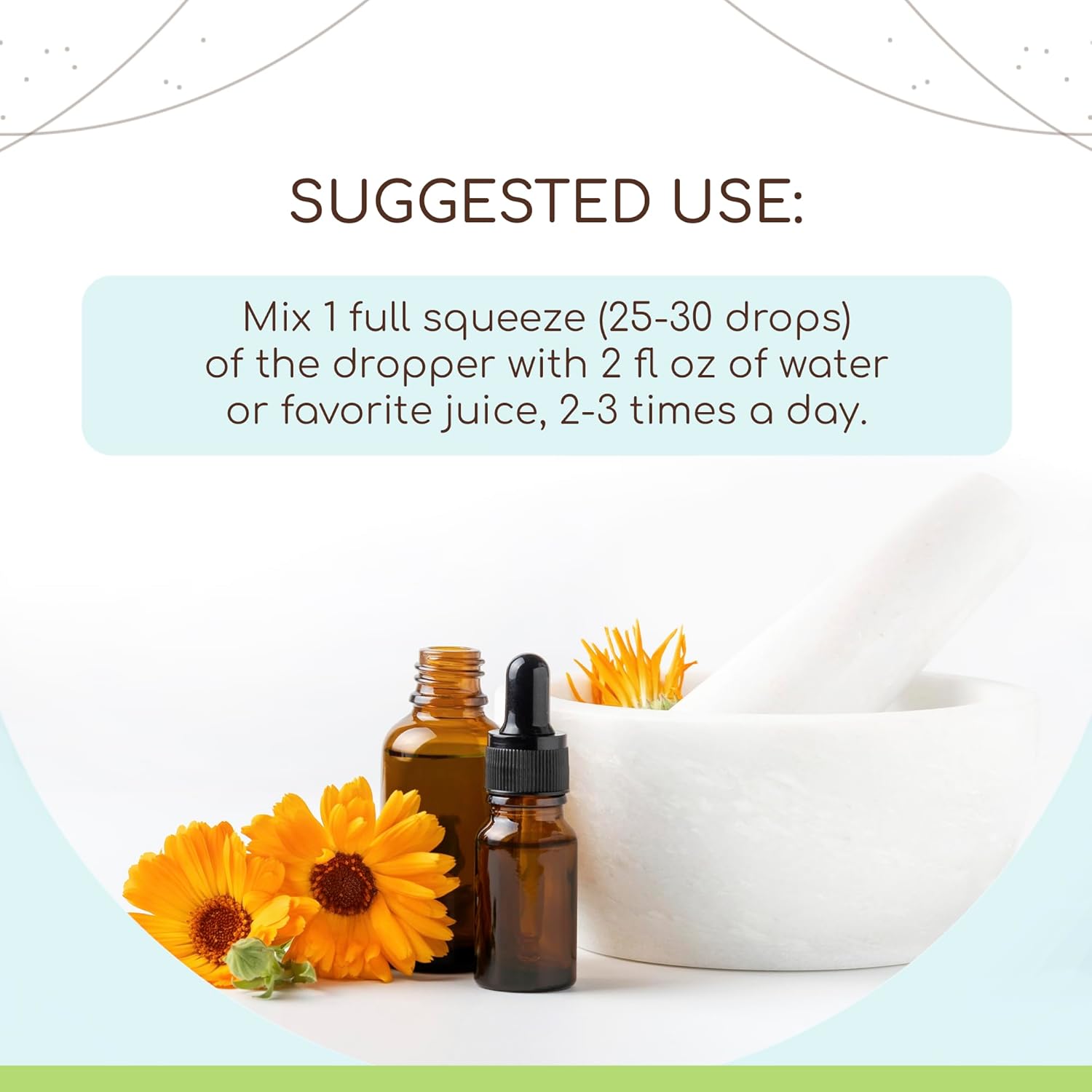 HerbEra Appetite Stimulating Tincture - Alcohol-Free Liquid Drops with Burdock Root, Centaury, Fennel Seed, Cayenne Pepper, Dandelion - 2 Fl Oz