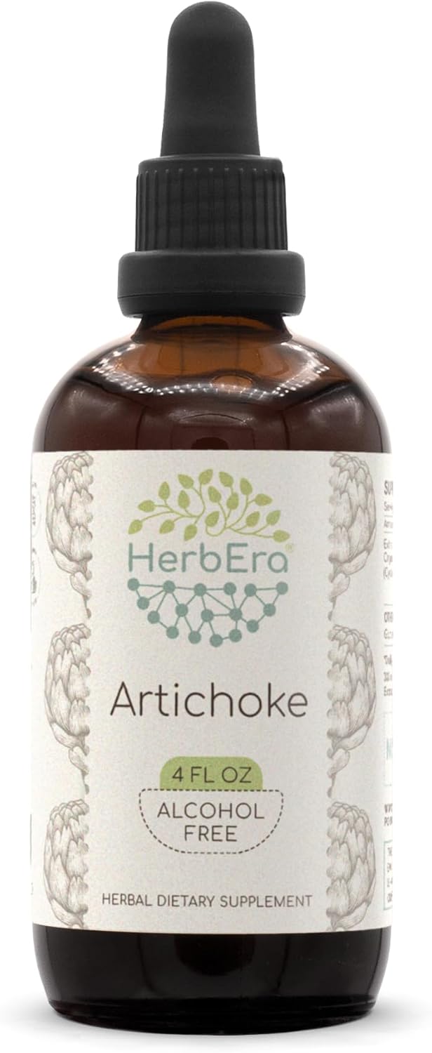 HerbEra Artichoke B120 Concentrated Liquid Extract Tincture - Natural Alcohol-Free Cynara scolymus Drops (4 fl oz)