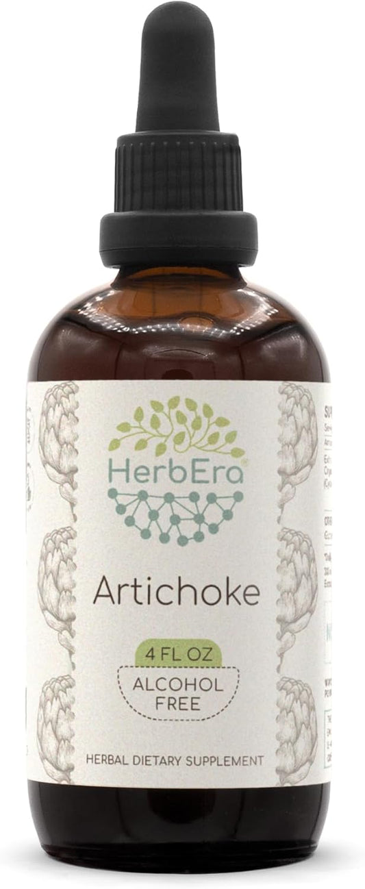 HerbEra Artichoke B120 Concentrated Liquid Extract Tincture - Natural Alcohol-Free Cynara scolymus Drops (4 fl oz)