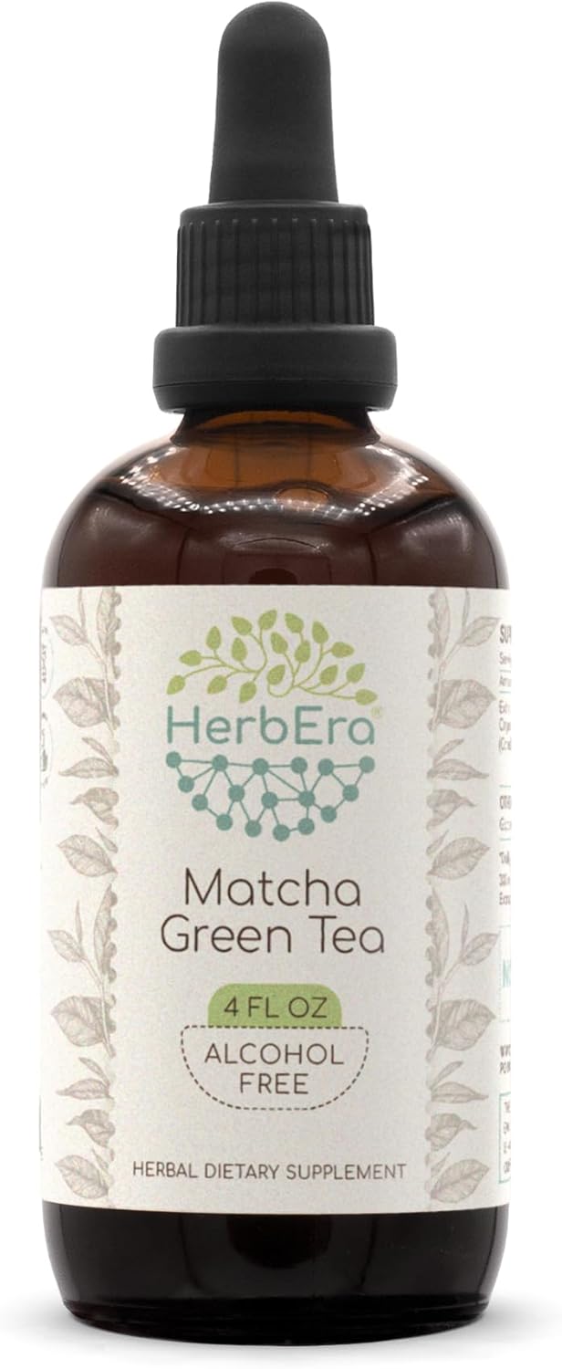 HerbEra Matcha Green Tea Herbal Extract Tincture - Alcohol-Free Concentrated Liquid Drops - 4 fl oz Bottle