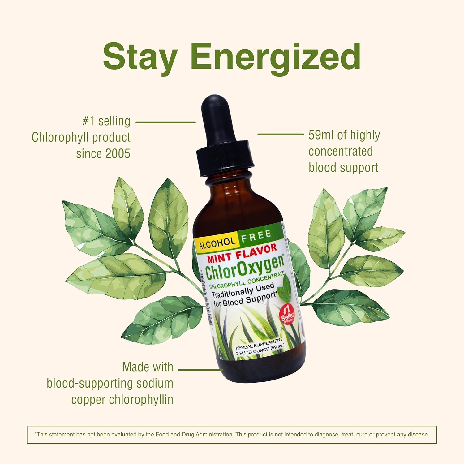 Herbs Etc. ChlorOxygen Chlorophyll Concentrate - Natural Energy and Vitality Support - Mint Flavored Liquid Supplement - Alcohol-Free - 2 fl oz