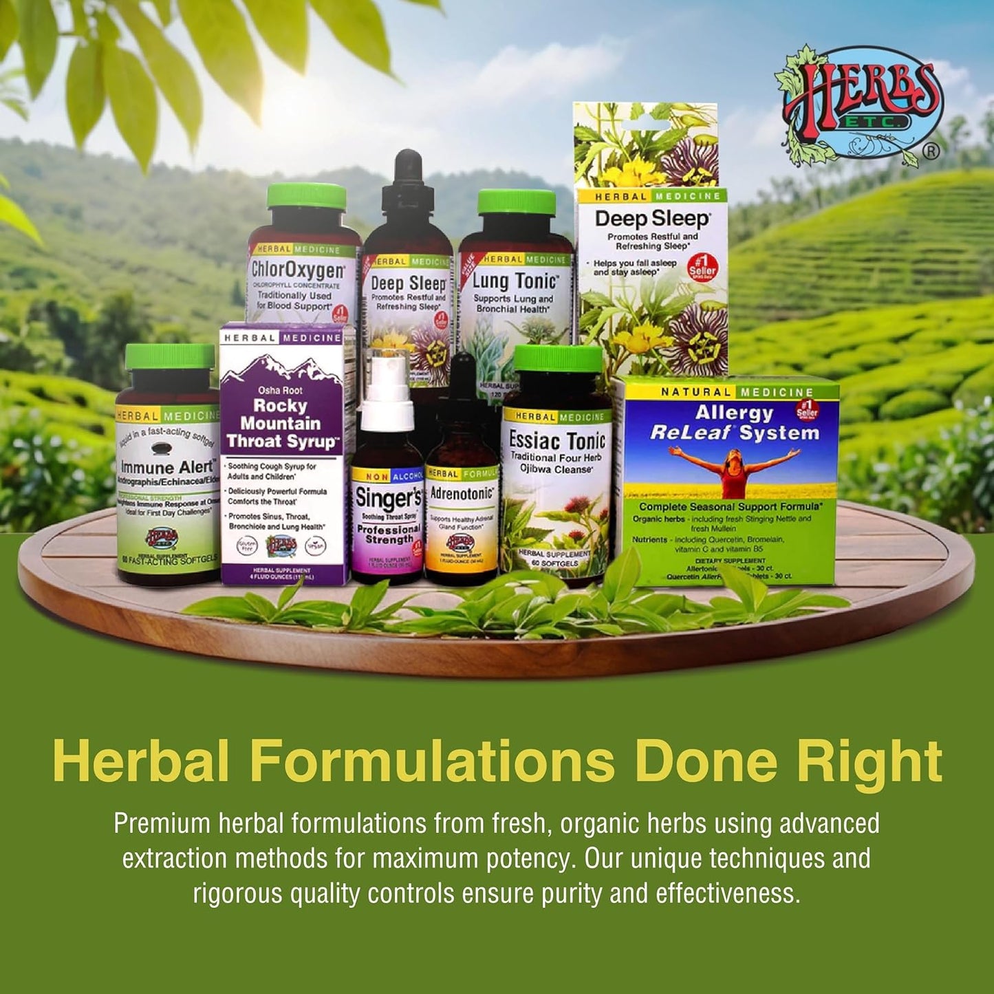 Herbs Etc. ChlorOxygen Chlorophyll Concentrate - Natural Energy and Vitality Support - Mint Flavored Liquid Supplement - Alcohol-Free - 2 fl oz