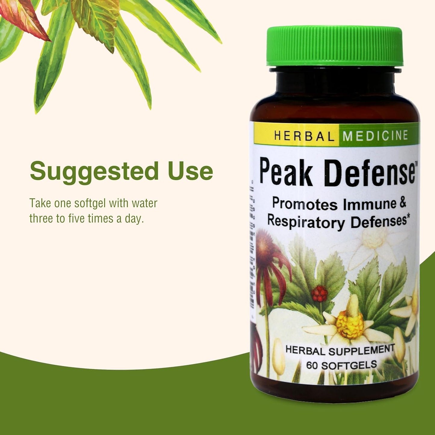 Herbs Etc. Peak Defense Softgels - Immune Health and Respiratory Support - Vitality Supplement for Adults - Gluten-Free - 60 Servings
