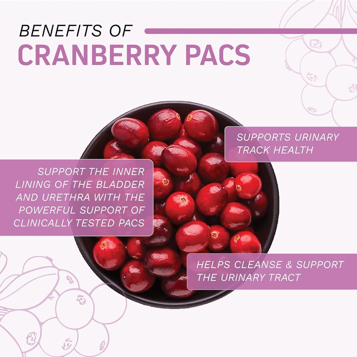 Herbtonics Fast Acting UTI Treatment with 36mg PAC | Cranberry Supplement for Urinary Tract Support - 60 Count (Pack of 2)