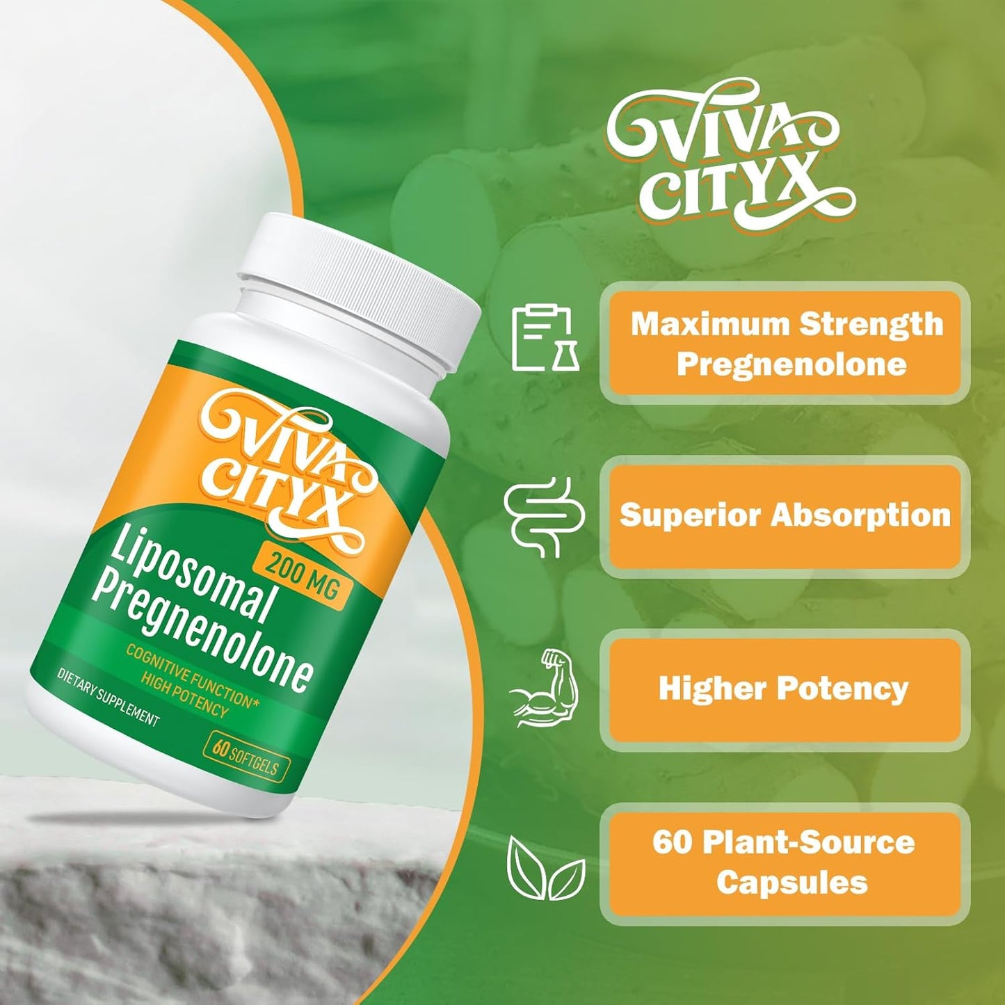 High Absorption 200 mg Pregnenolone Capsules for Memory and Focus | Wild Yam Extract | Gluten-Free, Non-GMO | 120 Count