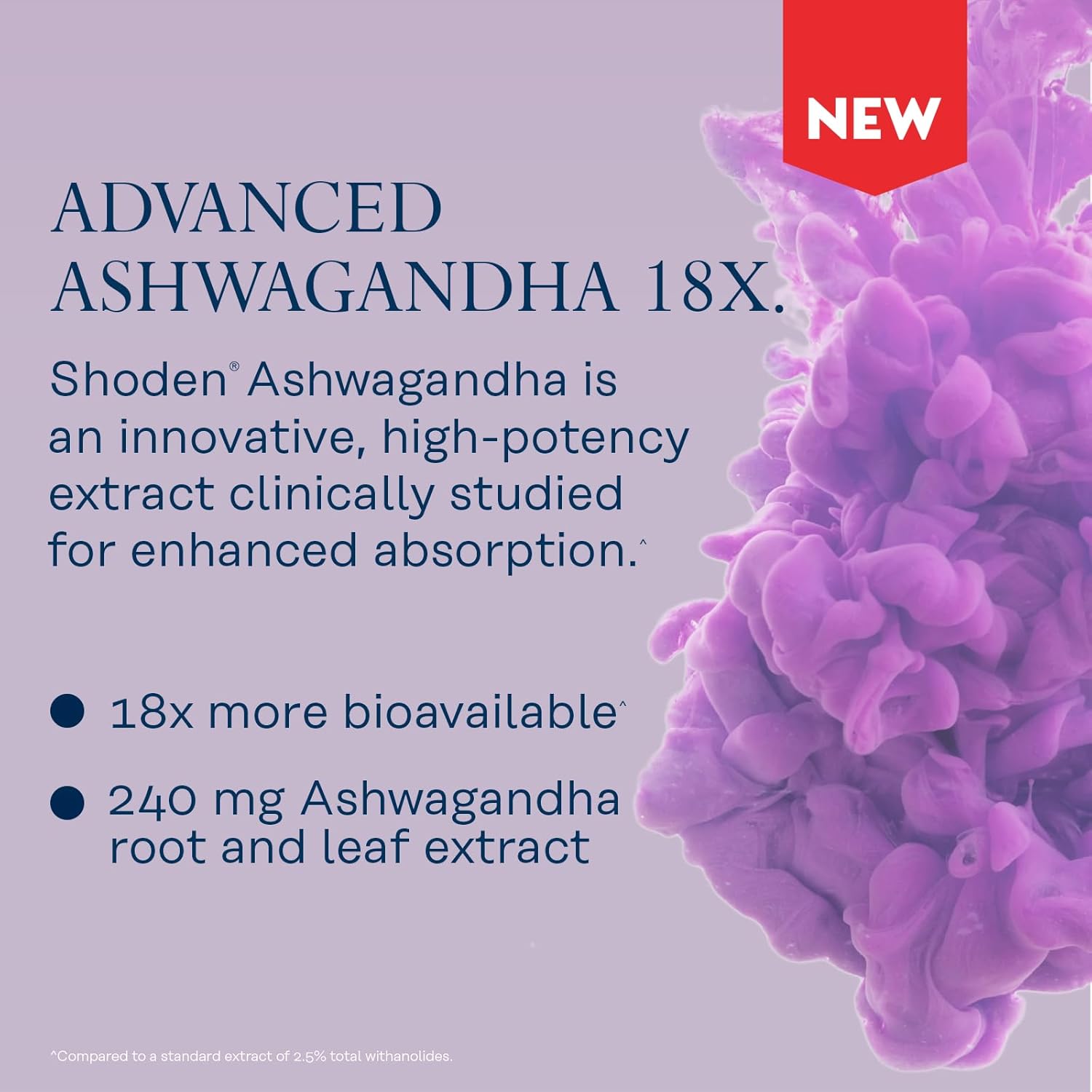 High Absorption Ashwagandha Capsules 240mg - Stress Relief & Mood Support - Vegan Supplement - 30 Servings - 60-Day Guarantee