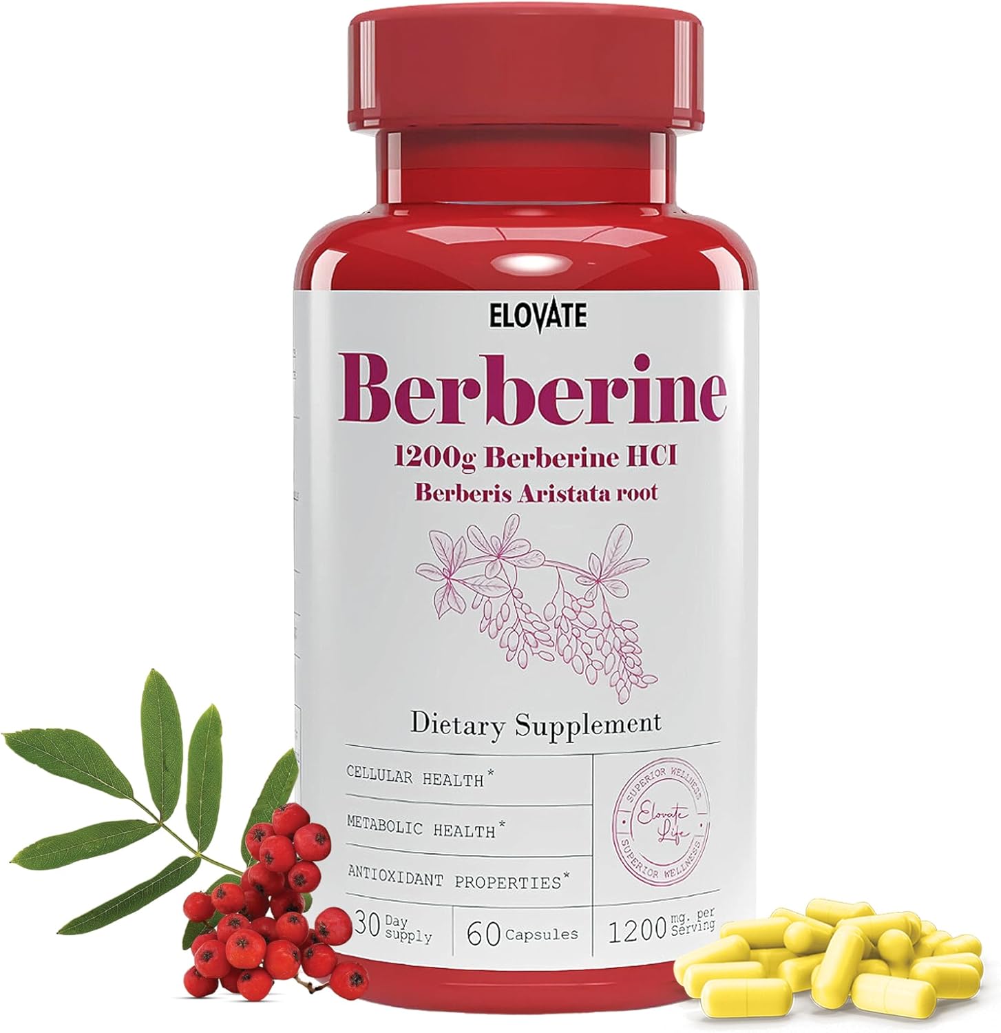 High Absorption Berberine HCl Supplement - 1200mg Berberis Aristata for Metabolic & Cardiovascular Support - 60 Capsules - BoostGo Australia