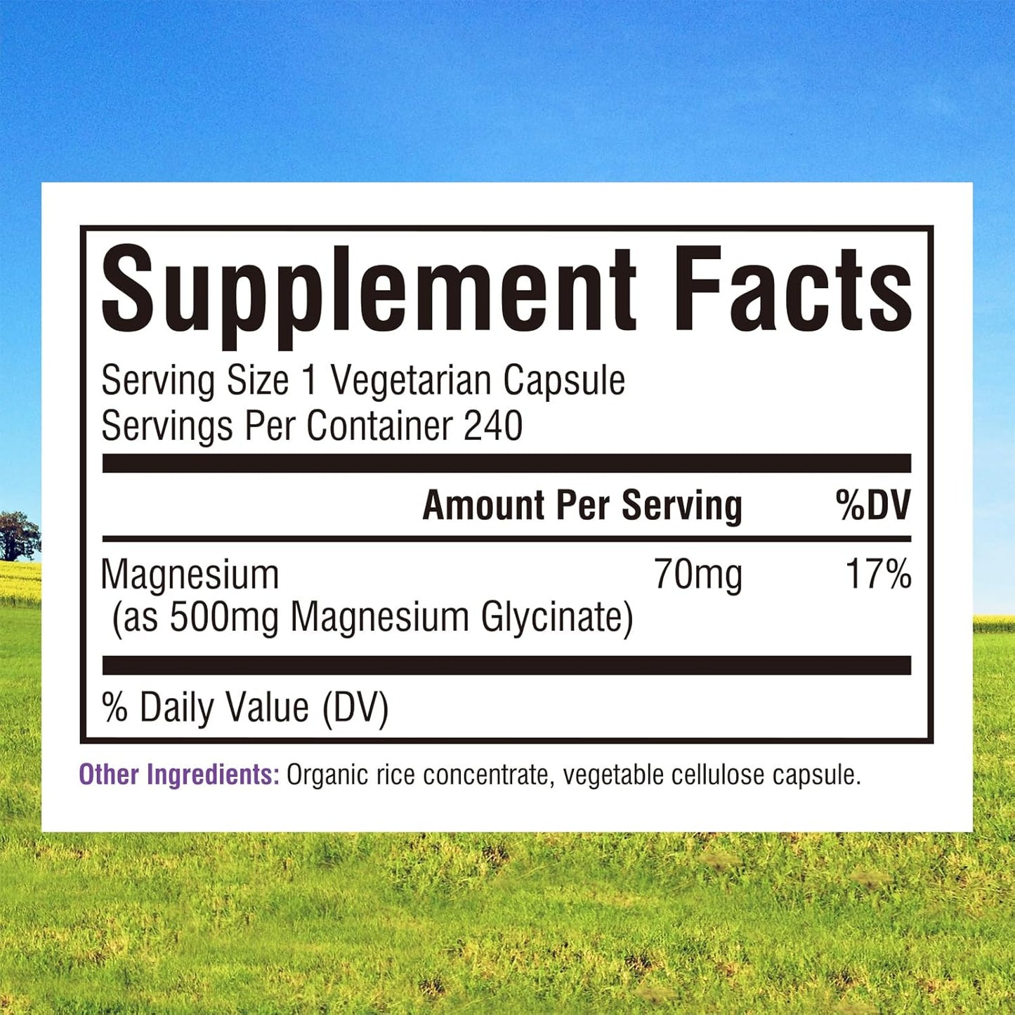 High Absorption Magnesium Glycinate 500mg | 70mg Elemental Magnesium | Non-GMO, Non-Buffered | Nerve, Muscle, Bone, Heart Health | 240 Capsules, 8 Months Supply