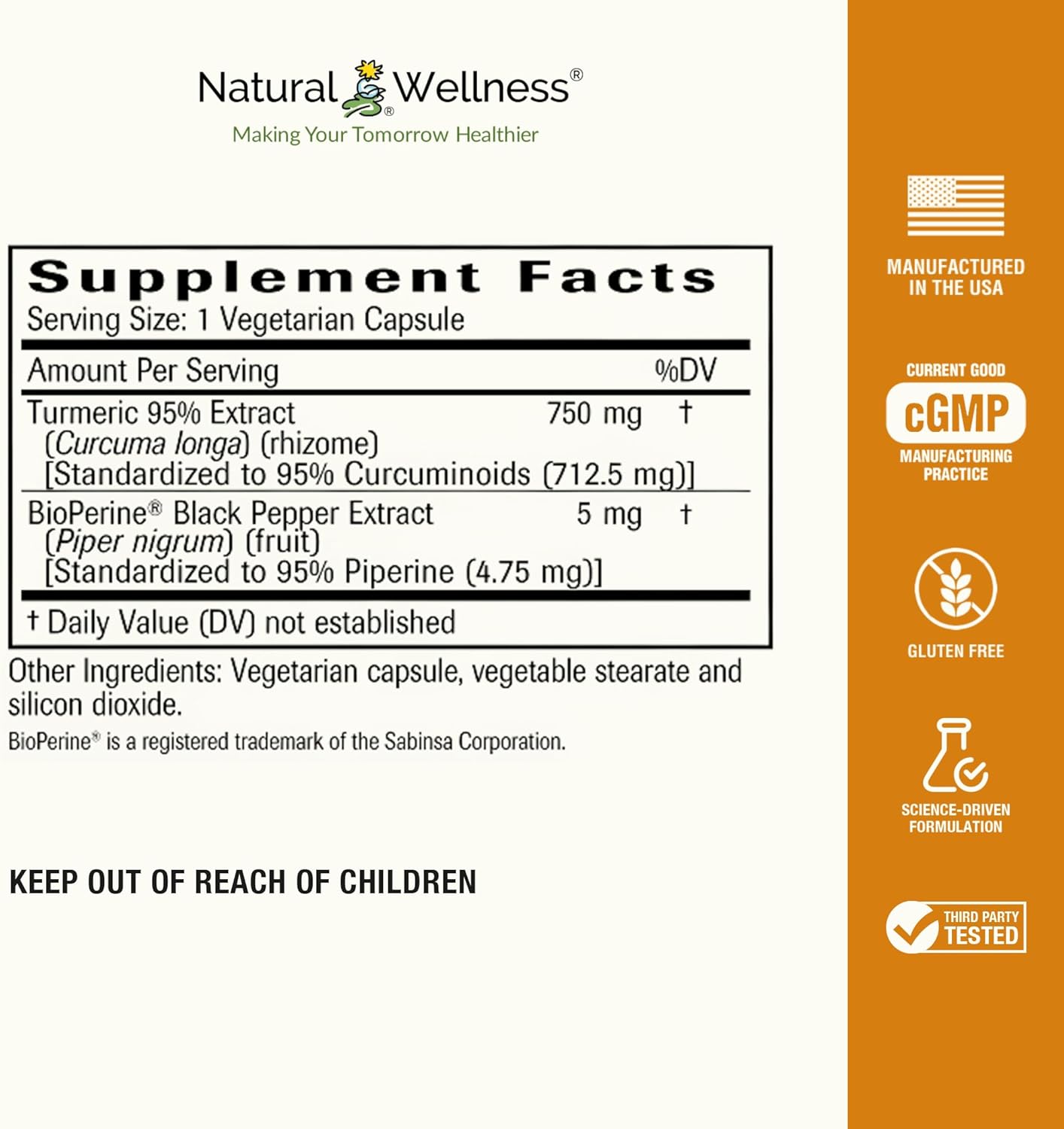 High Absorption Natural Wellness Turmeric 95 with BioPerine® for Joint Health, Immune Support, and Liver Detox - 60 Vegan Capsules