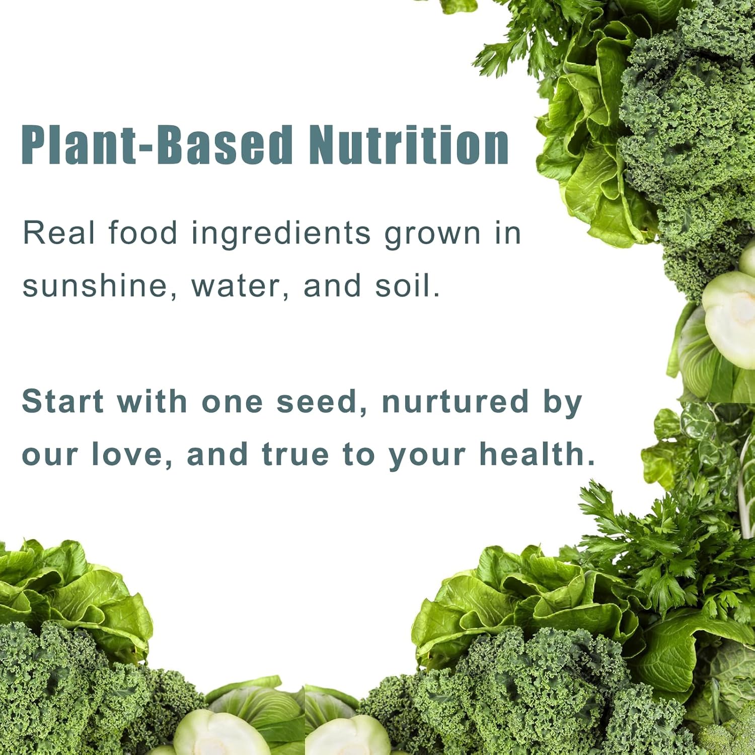 High Absorption Triple Magnesium Complex Liquid Drops with CoQ10, Zinc, and Vitamin D3 for Muscle, Nerve, and Energy Support - 1500mg Magnesium Glycinate, Taurate, and Malate Formula