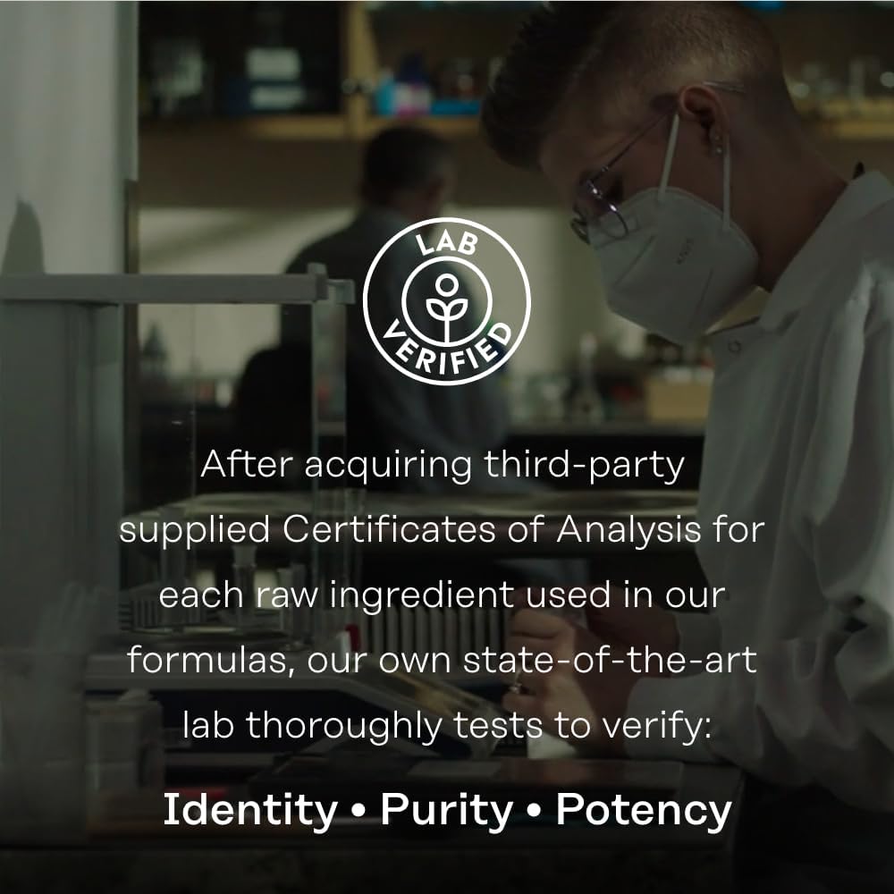 High Absorption Turmeric Phytosome 500 mg Capsules for Joint Support - Vegan & Soy-Free - 30 Servings - 60-Day Guarantee