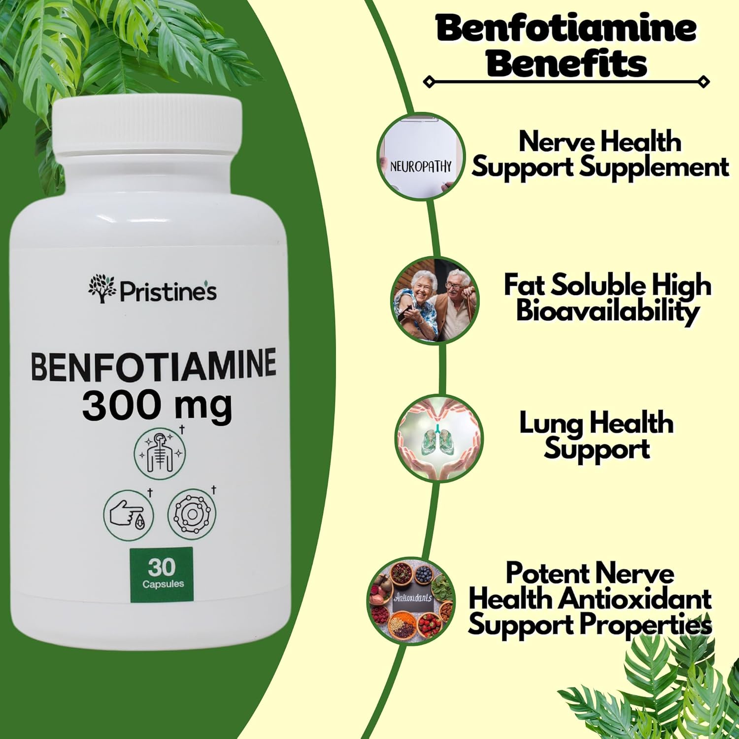 High Bioavailability Benfotiamine Supplement for Nerve Support - 300MG - 30 Day Supply - Vegan & Non-GMO - Pristine's